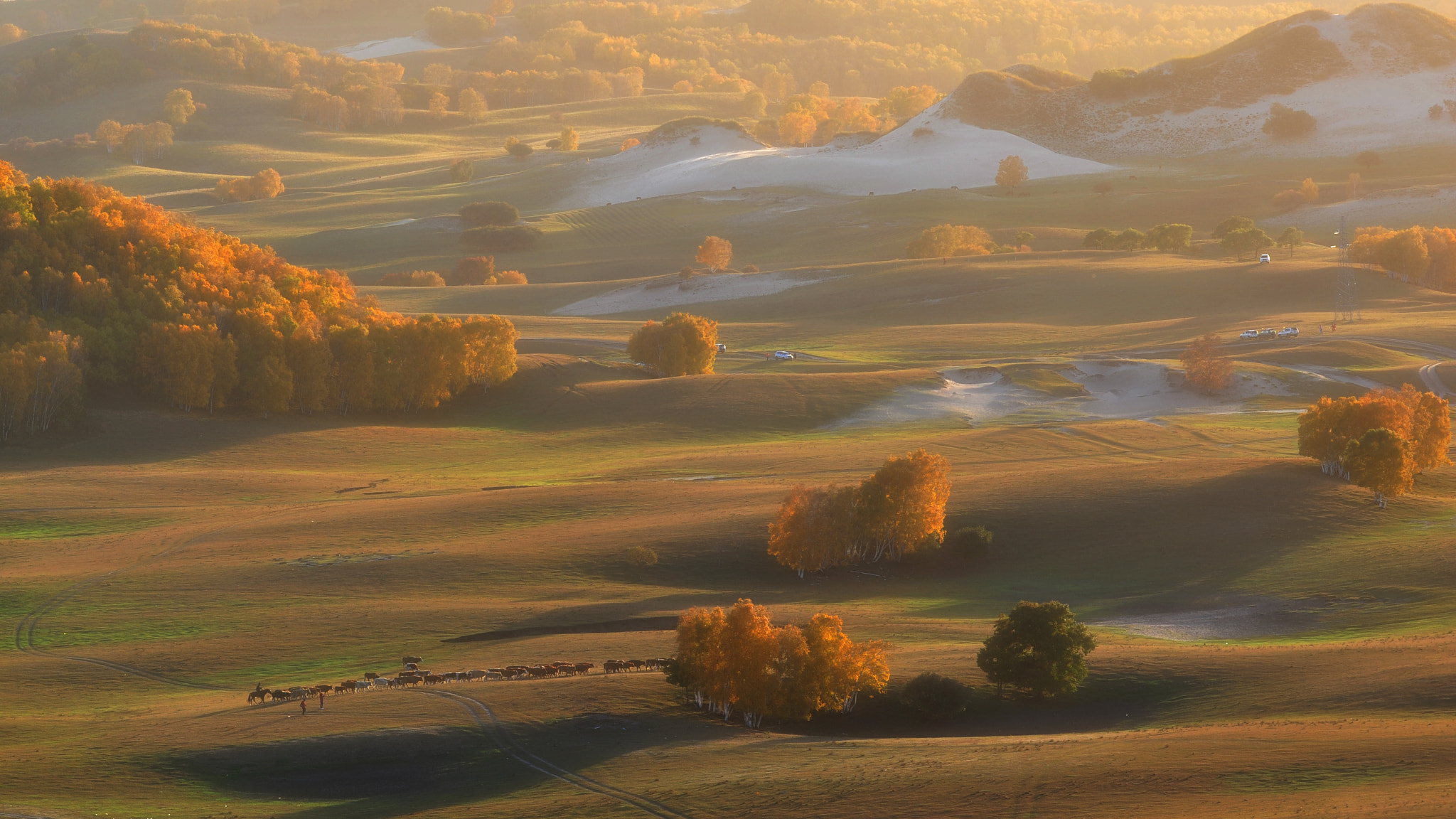 Nikon AF-S Nikkor 200mm F2G ED VR II sample photo. Autumn sunset photography
