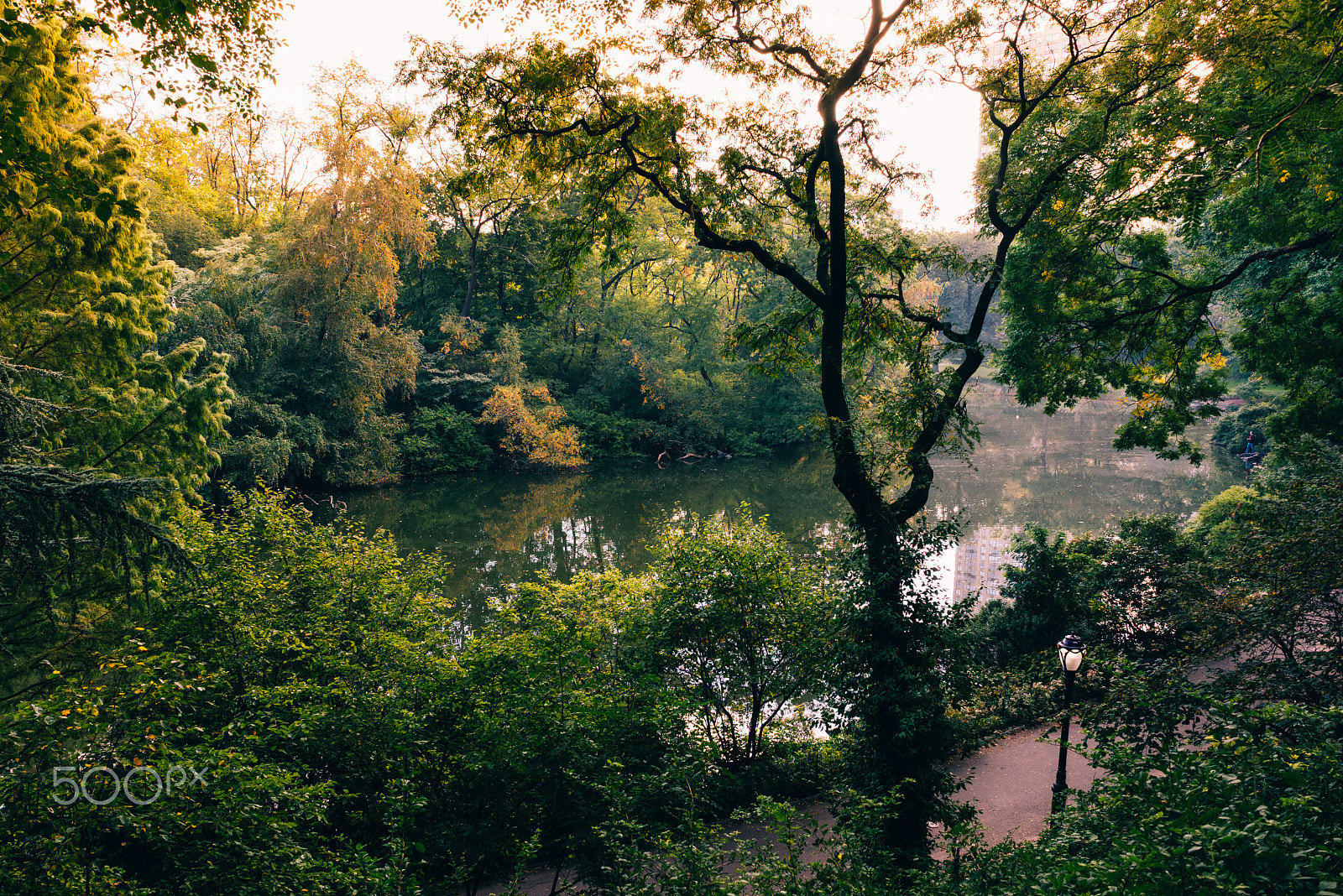 Sony a7R + Sony FE 28mm F2 sample photo. Colors are starting to show in central park photography