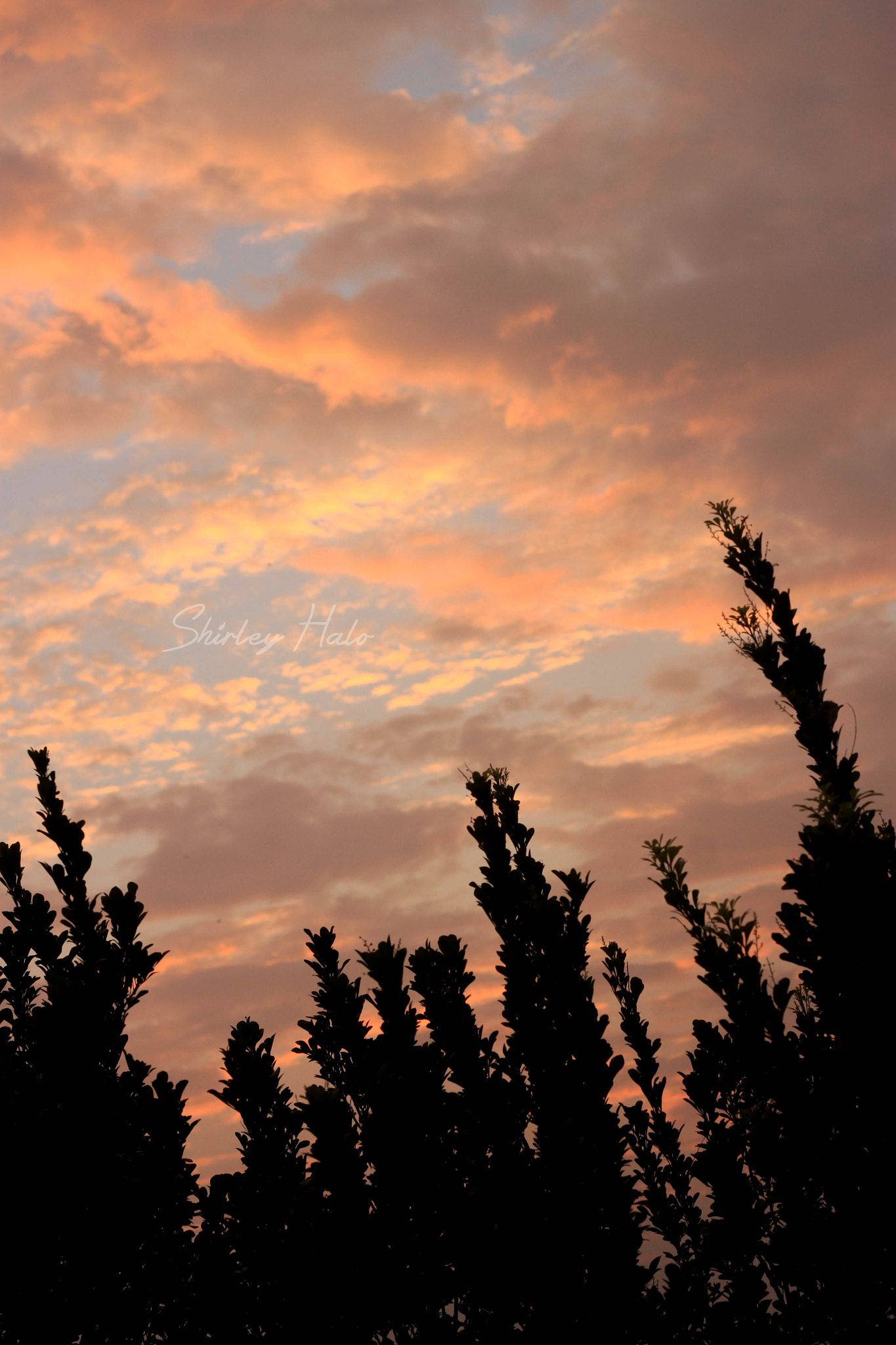 Canon EOS 500D (EOS Rebel T1i / EOS Kiss X3) sample photo. Twilight photography