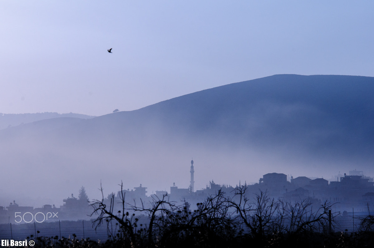 Nikon D300S sample photo. Misty morning photography
