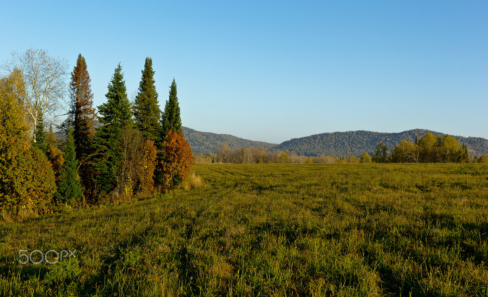 Canon EF 17-35mm f/2.8L + 1.4x sample photo. Img photography