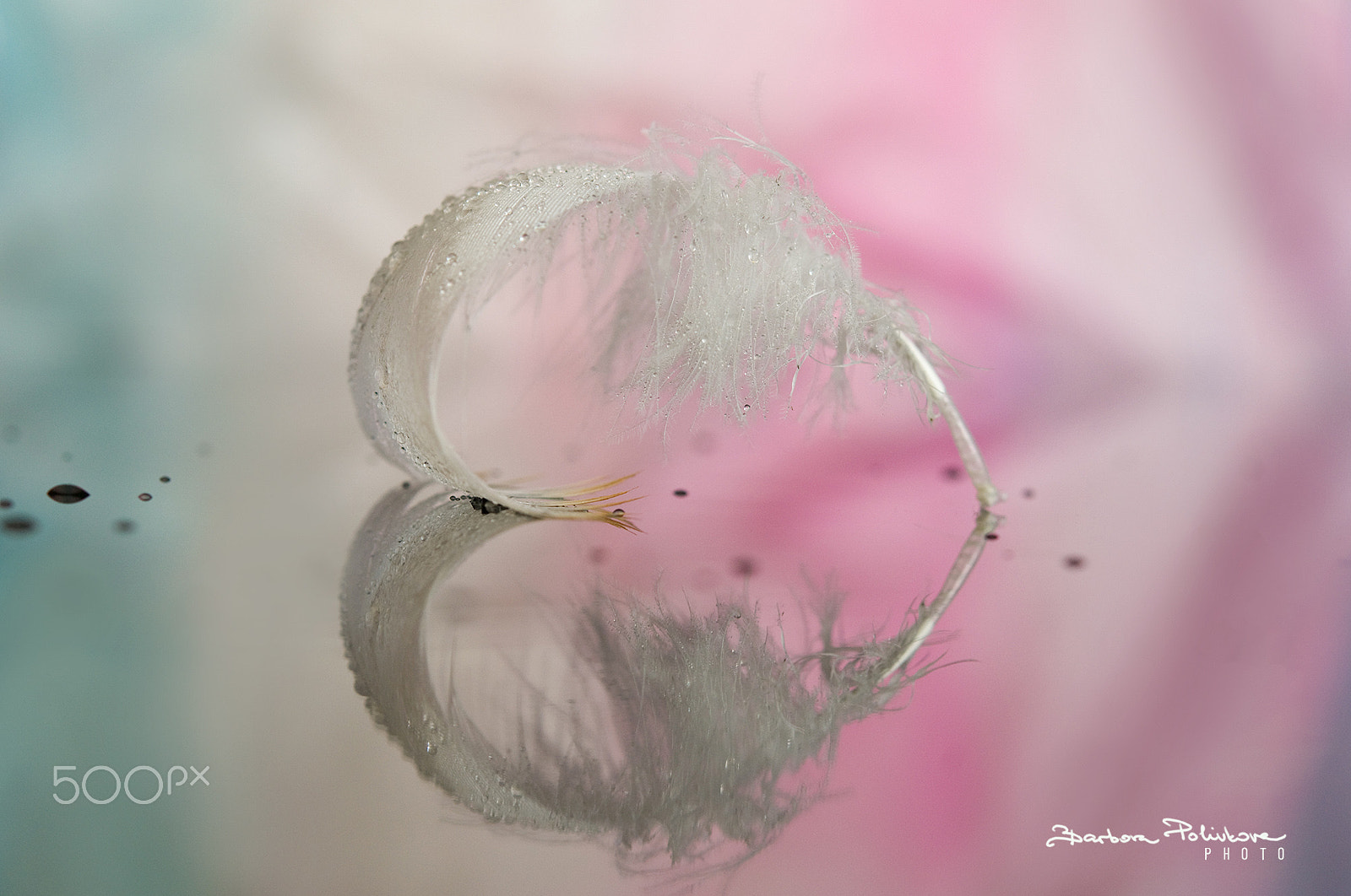 Nikon AF-S Micro-Nikkor 60mm F2.8G ED sample photo. Love weekends photography