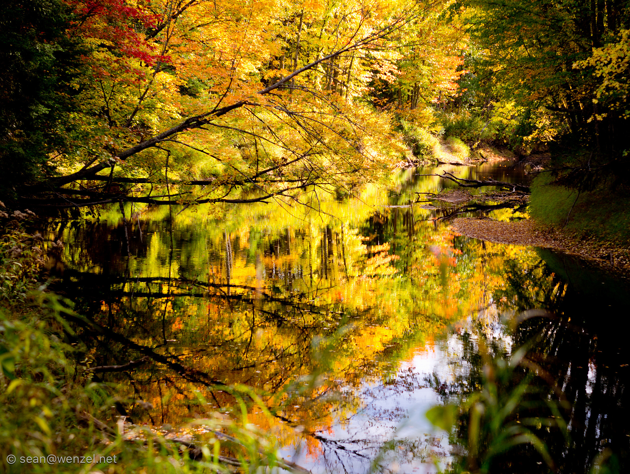 Leica M (Typ 240) + Leica Noctilux-M 50mm F0.95 ASPH sample photo. Reflective fall colour overload - qe ii wildlands - black river photography