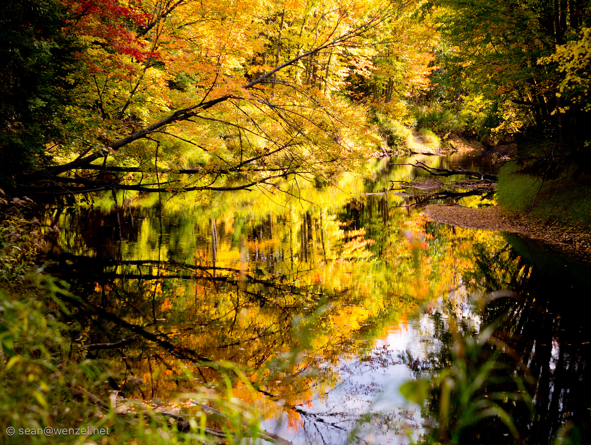 Leica Noctilux-M 50mm F0.95 ASPH sample photo. Reflective fall colour overload - qe ii wildlands - black river photography