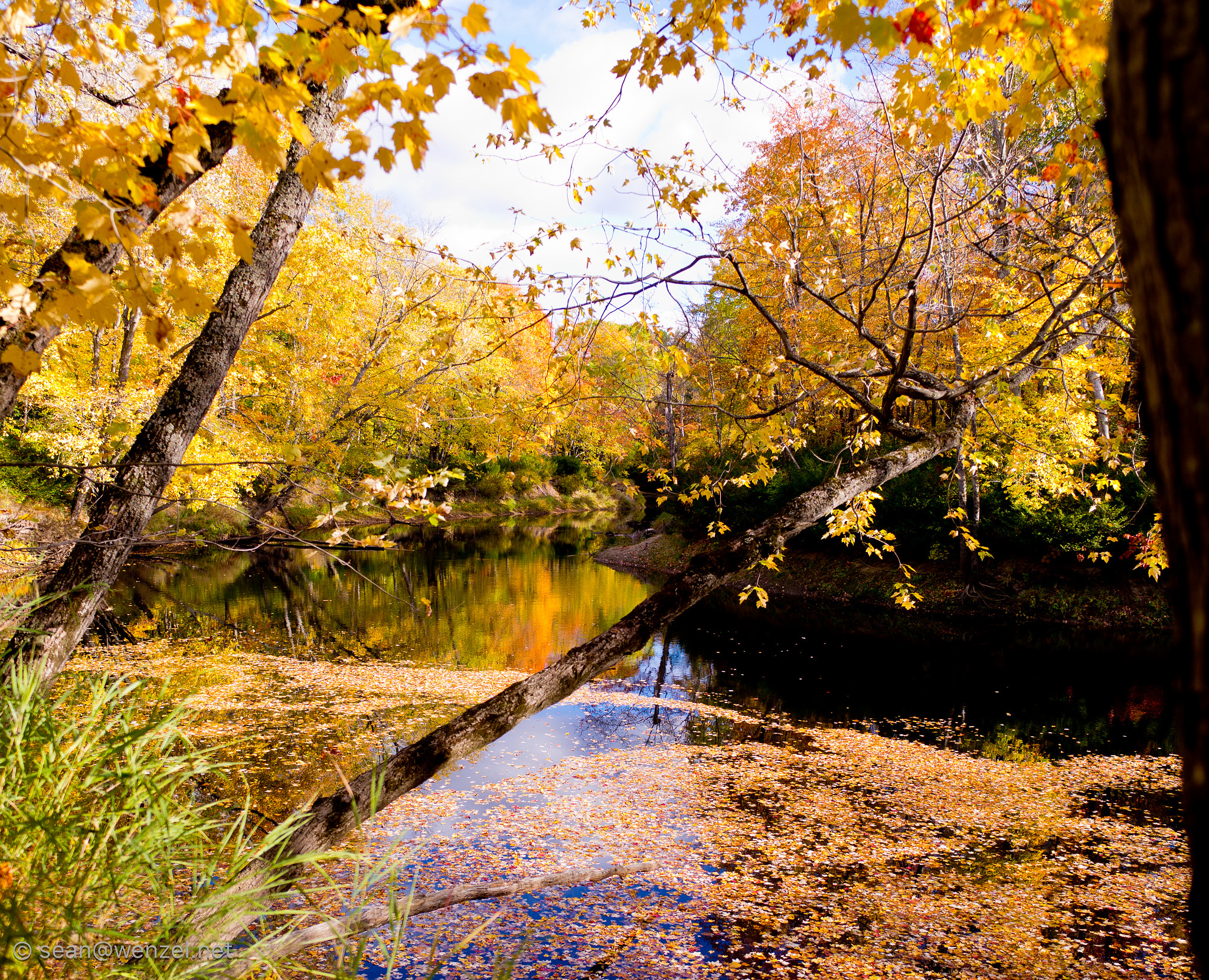 Leica Super-Elmar-M 21mm F3.4 ASPH sample photo. Qe ii wildlands - black river photography