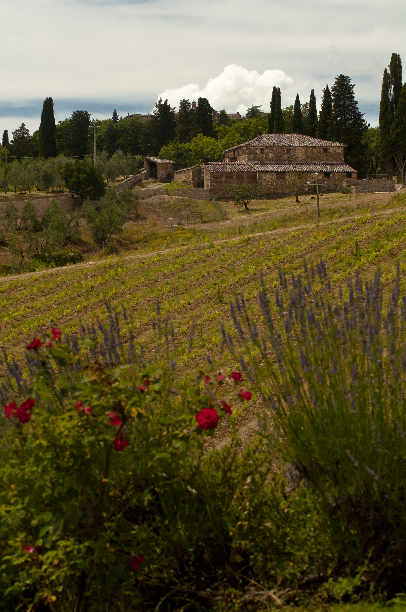 Sigma 70-200mm F2.8 EX DG OS HSM sample photo. Tuscany photography