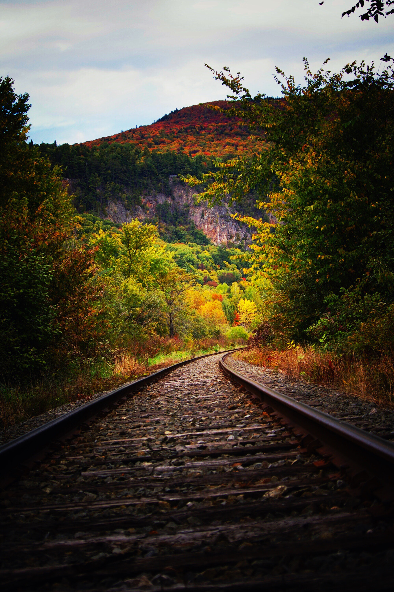 Pentax K100D sample photo. Train track photography