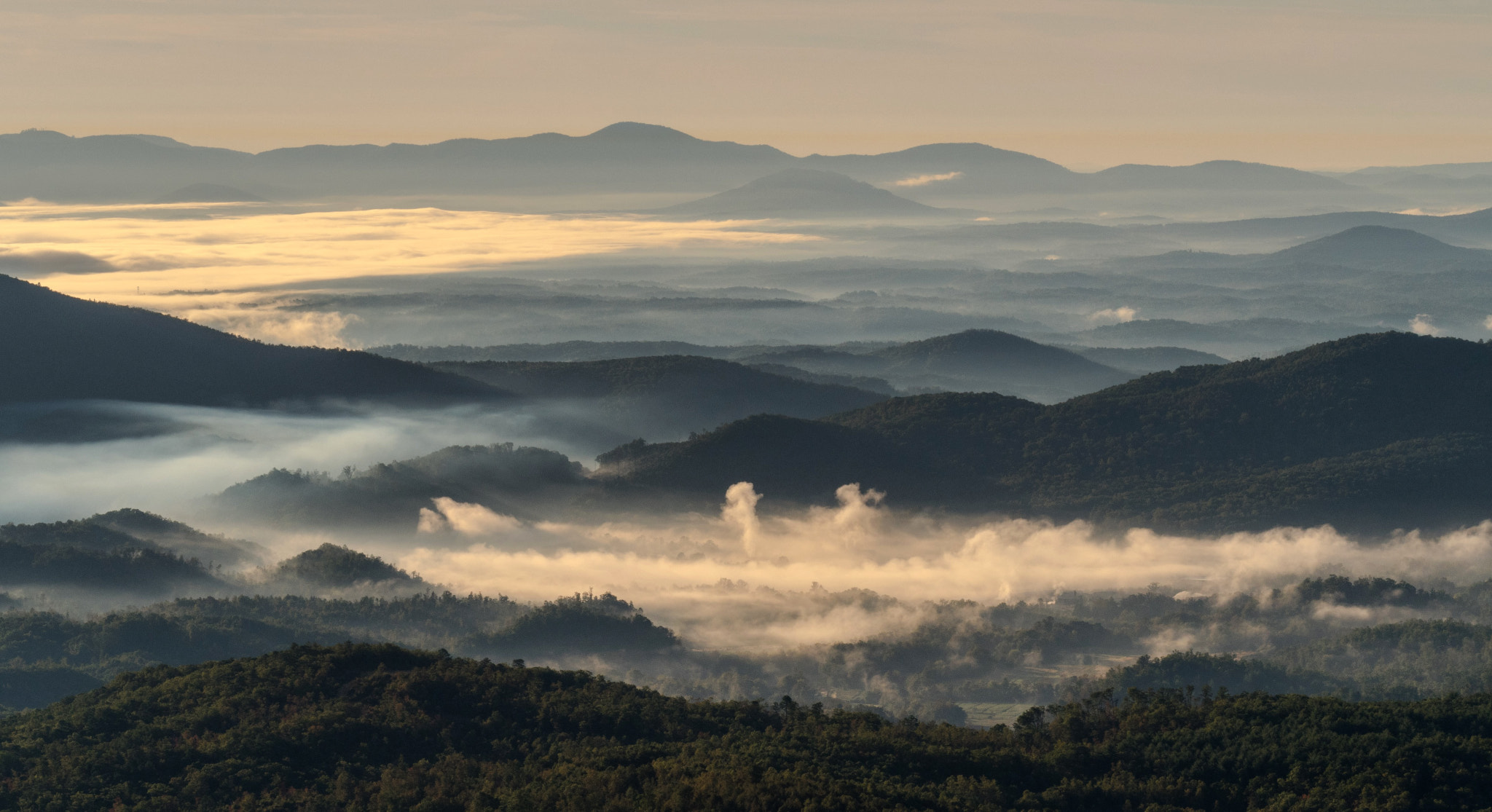 Olympus OM-D E-M5 II + Olympus M.Zuiko Digital ED 40-150mm F2.8 Pro sample photo. Blue ridge parkway photography