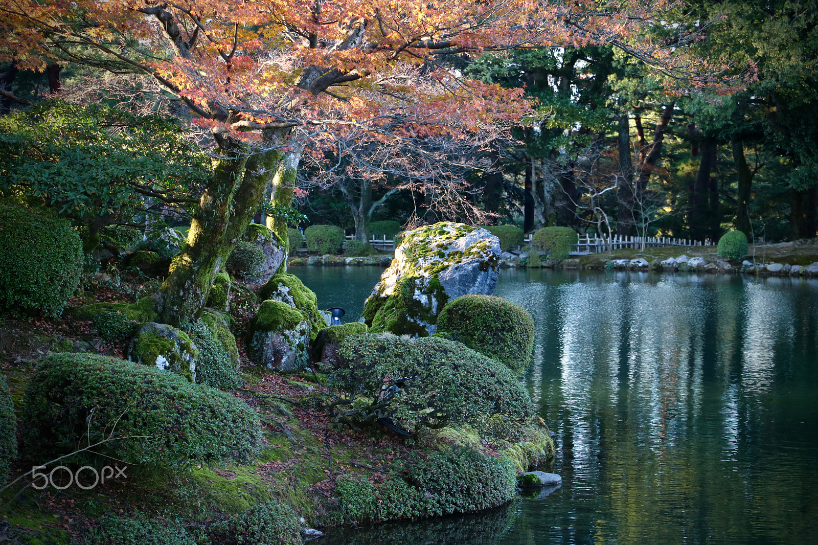 Canon EOS 760D (EOS Rebel T6s / EOS 8000D) + Canon EF-S 18-135mm F3.5-5.6 IS STM sample photo. Autumn in kenrokuen garden, kanazawa japan photography