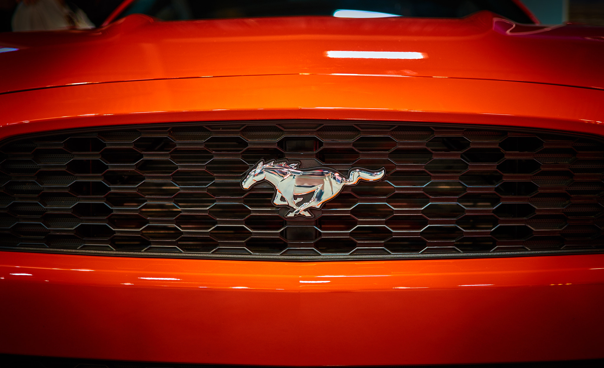 ZEISS Touit 32mm F1.8 sample photo. Orange pony photography