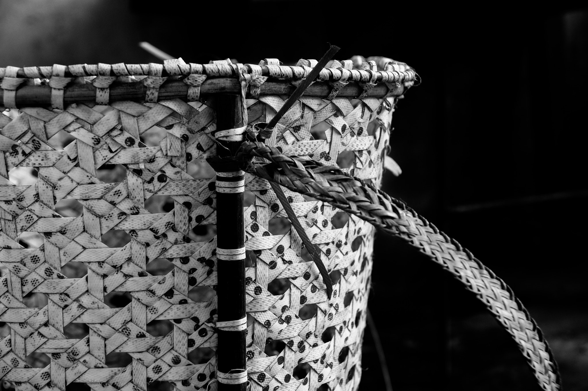 Nikon D300 sample photo. Dayak traditional carrier photography