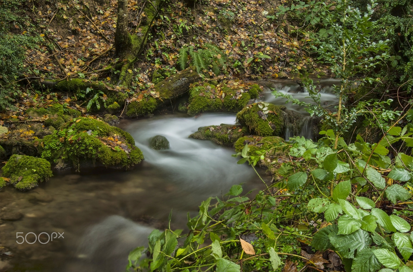 Nikon AF Nikkor 24-85mm F2.8-4D IF sample photo. Sülüklü göl deresi/bolu/türkiye photography