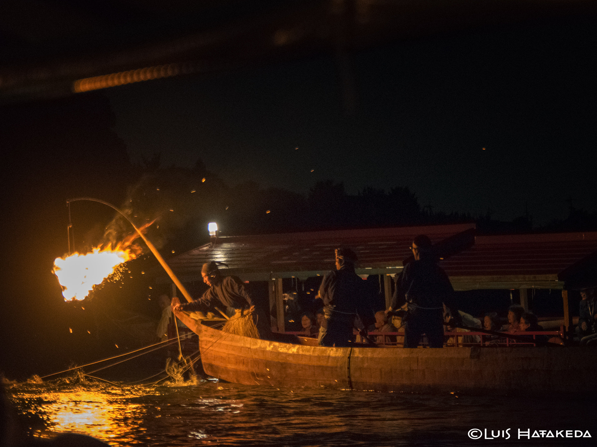 Nikon D3300 + Sigma 18-50mm F2.8 EX DC sample photo. Cormorant fishing photography