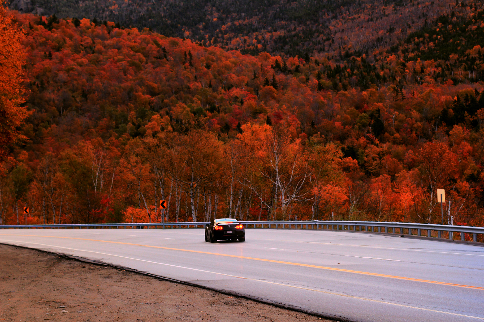Canon EOS 550D (EOS Rebel T2i / EOS Kiss X4) sample photo. Long drive through fall photography