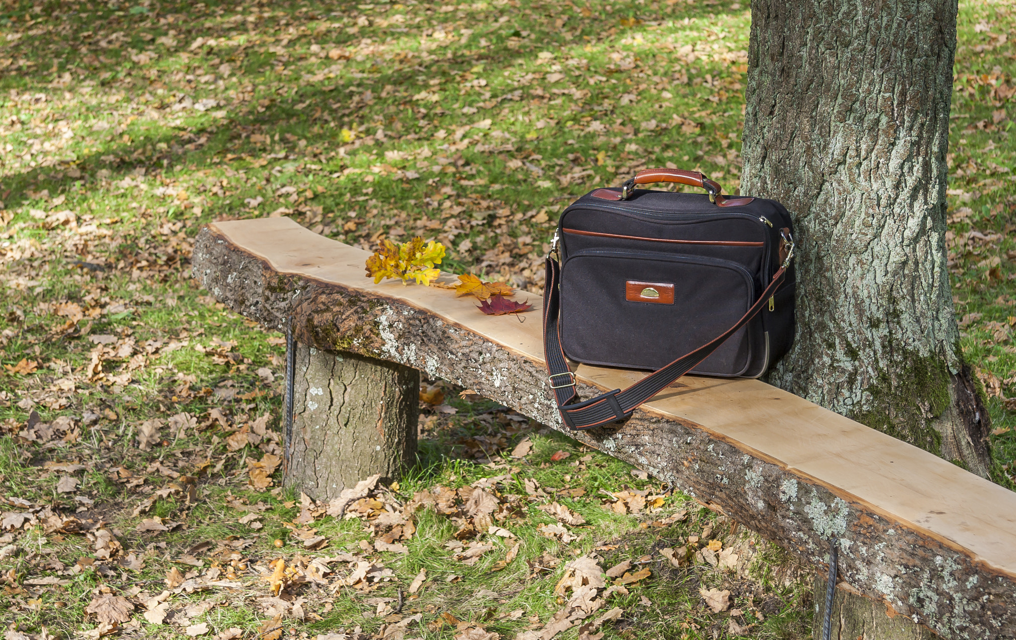 Black Handbag lying on bench in autumn park