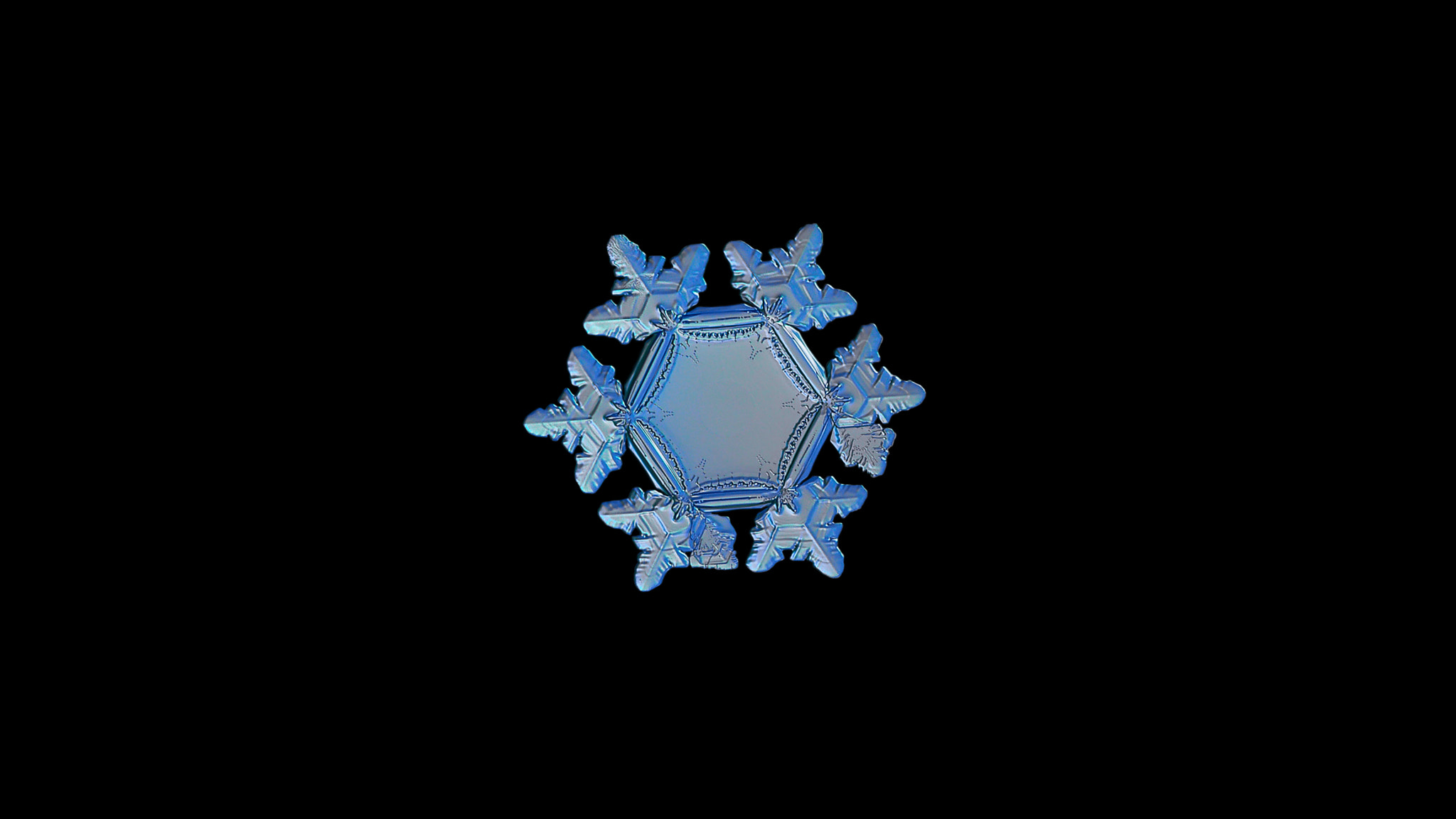 Canon POWERSHOT A650 IS sample photo. Snowflake isolated on black background photography