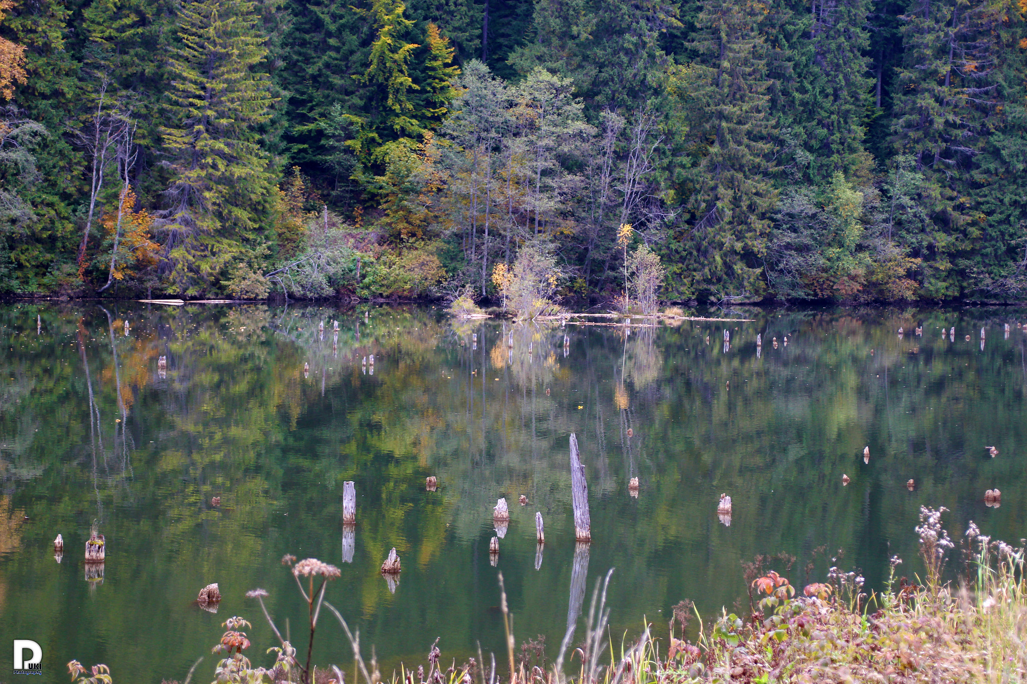 Canon EOS 100D (EOS Rebel SL1 / EOS Kiss X7) + Canon TS-E 90mm F2.8 Tilt-Shift sample photo. Red lake photography