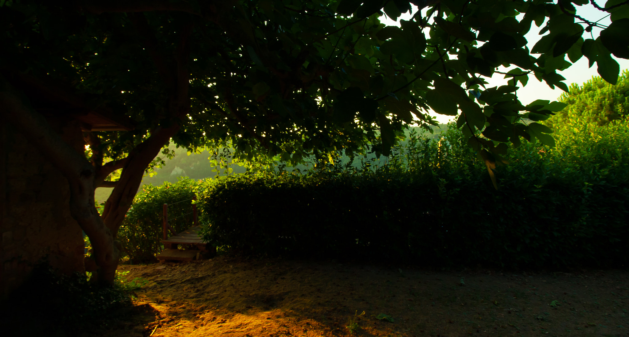 Canon EOS 40D sample photo. Olive garden entrance pt.2 photography