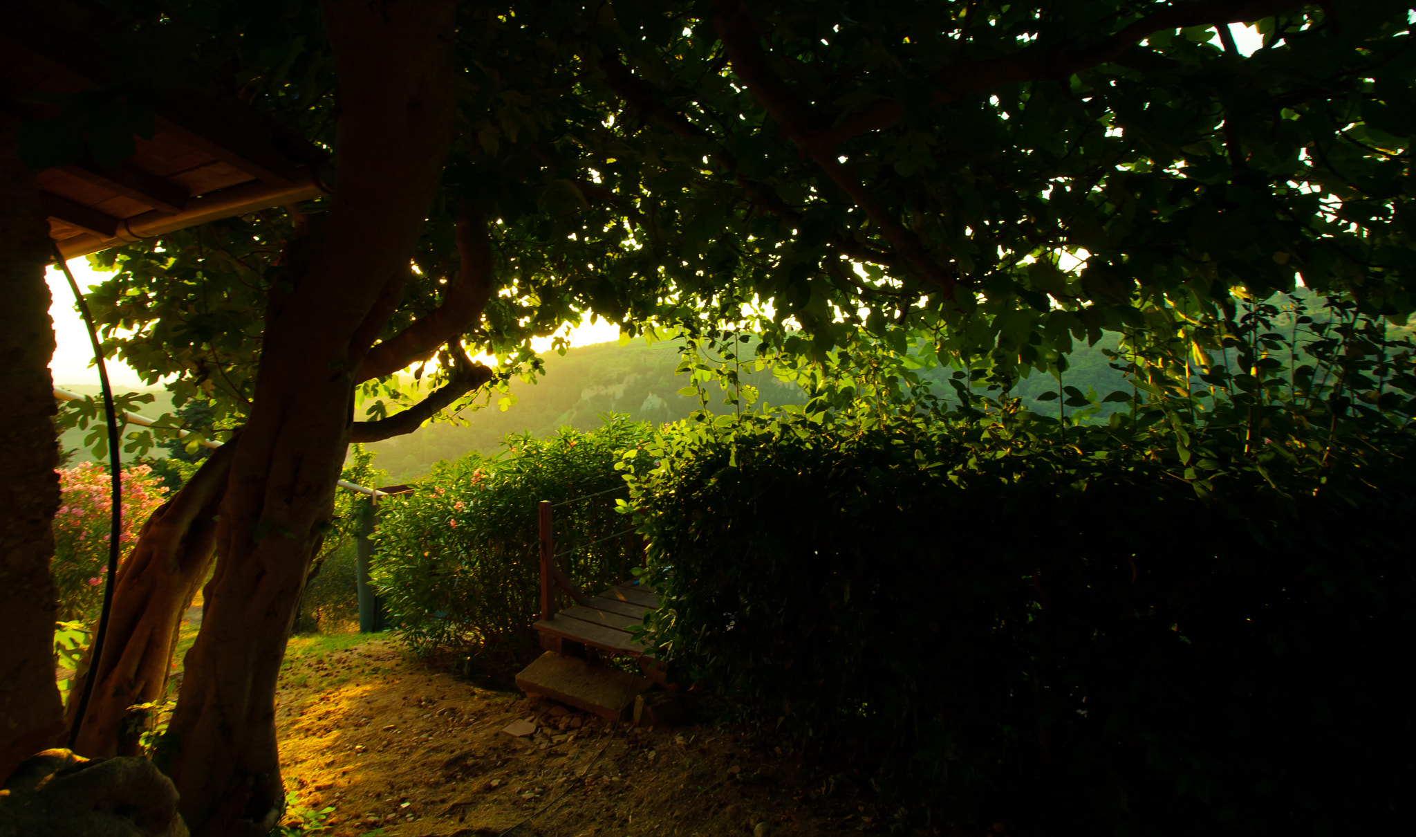 Canon EOS 40D sample photo. Olive garden entrance photography
