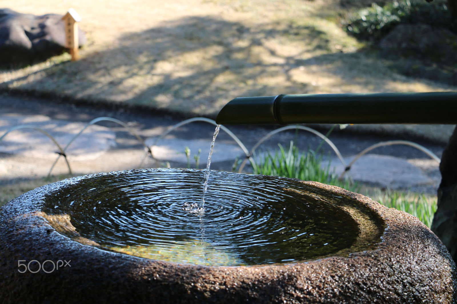 Canon EOS 760D (EOS Rebel T6s / EOS 8000D) + Canon EF-S 18-135mm F3.5-5.6 IS STM sample photo. Kyosumi garden, tokyo japan photography