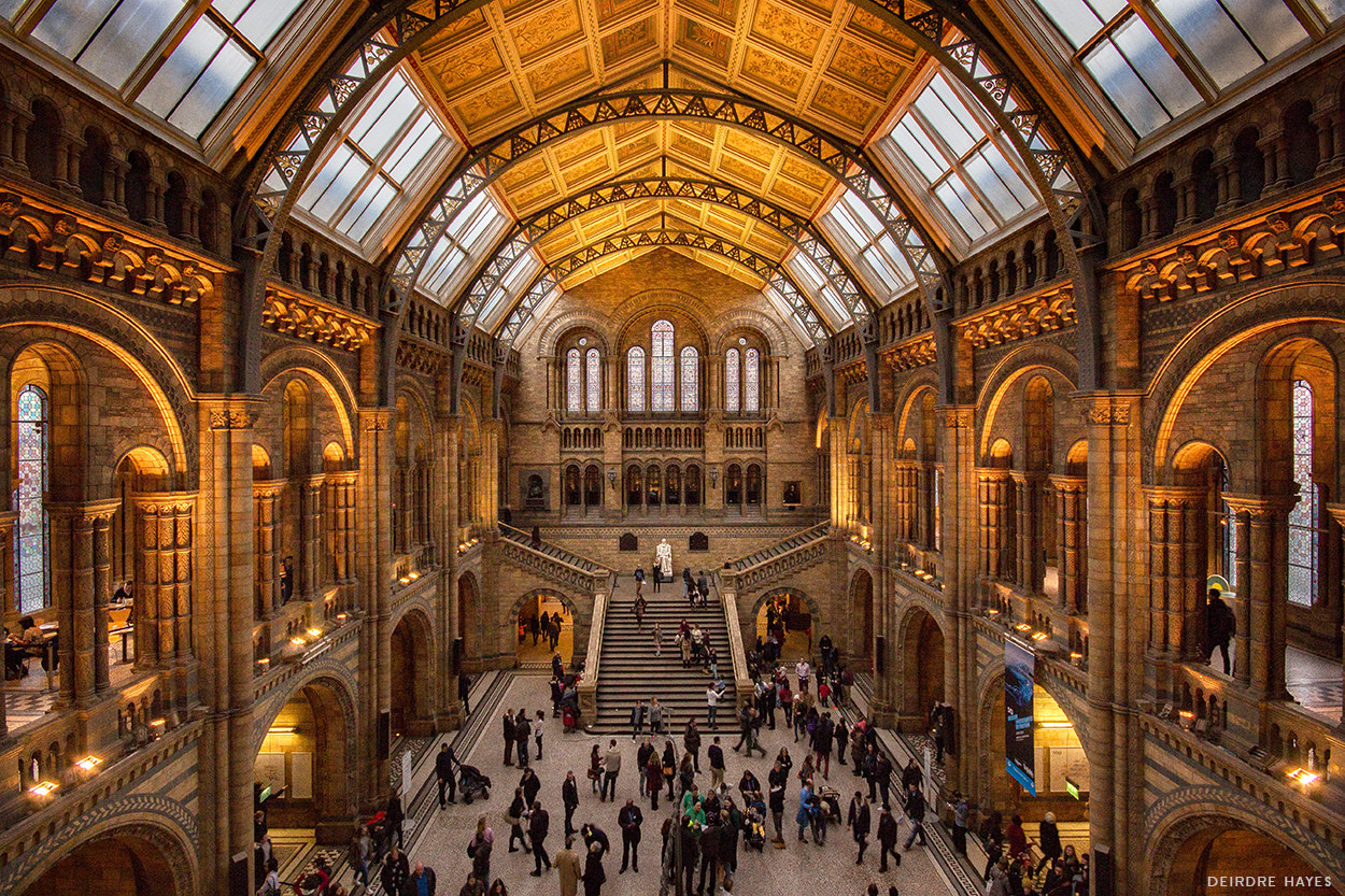 Sigma 10-20mm F4-5.6 EX DC HSM sample photo. Natural history museum london photography
