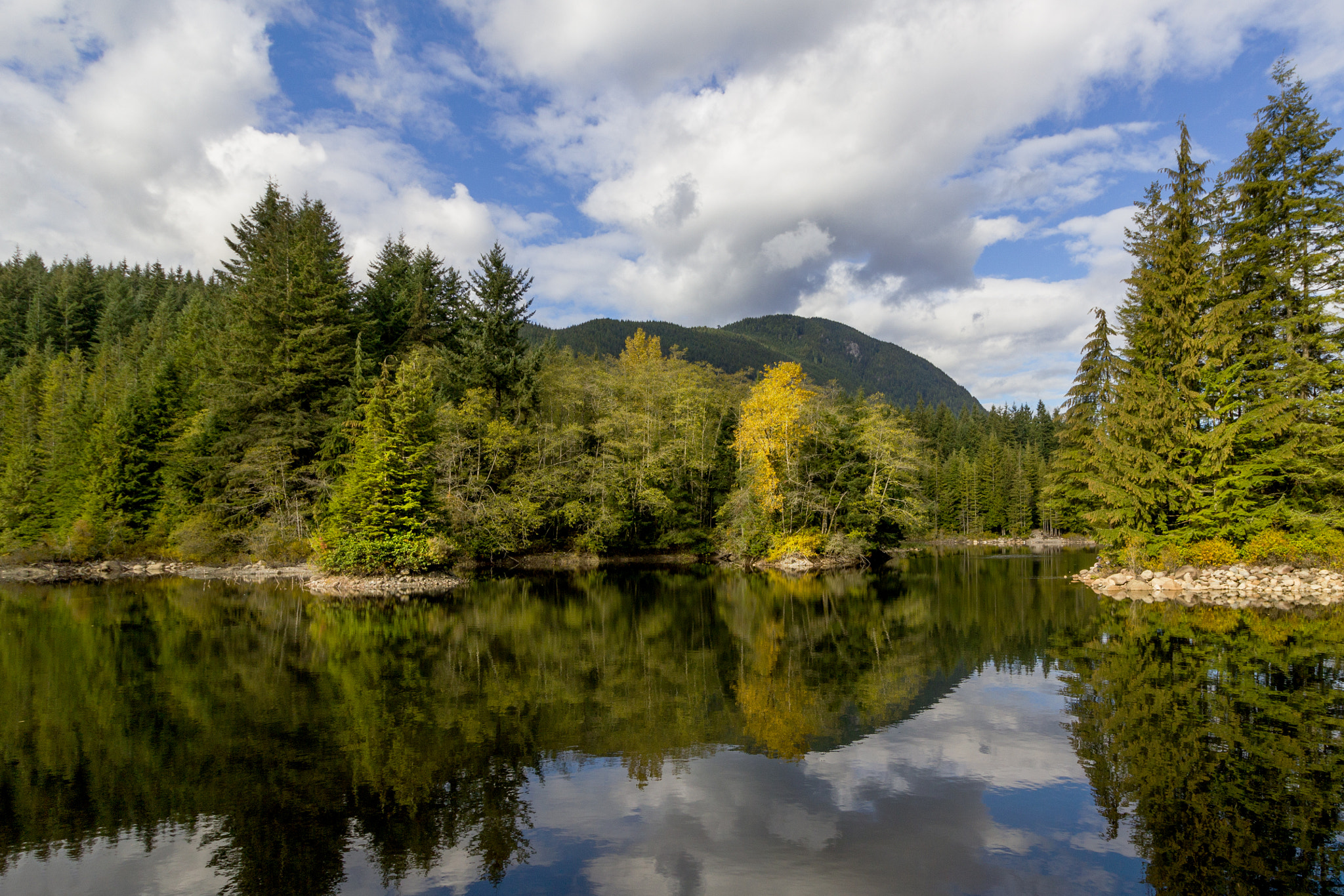 Canon EOS 550D (EOS Rebel T2i / EOS Kiss X4) sample photo. Rice lake photography