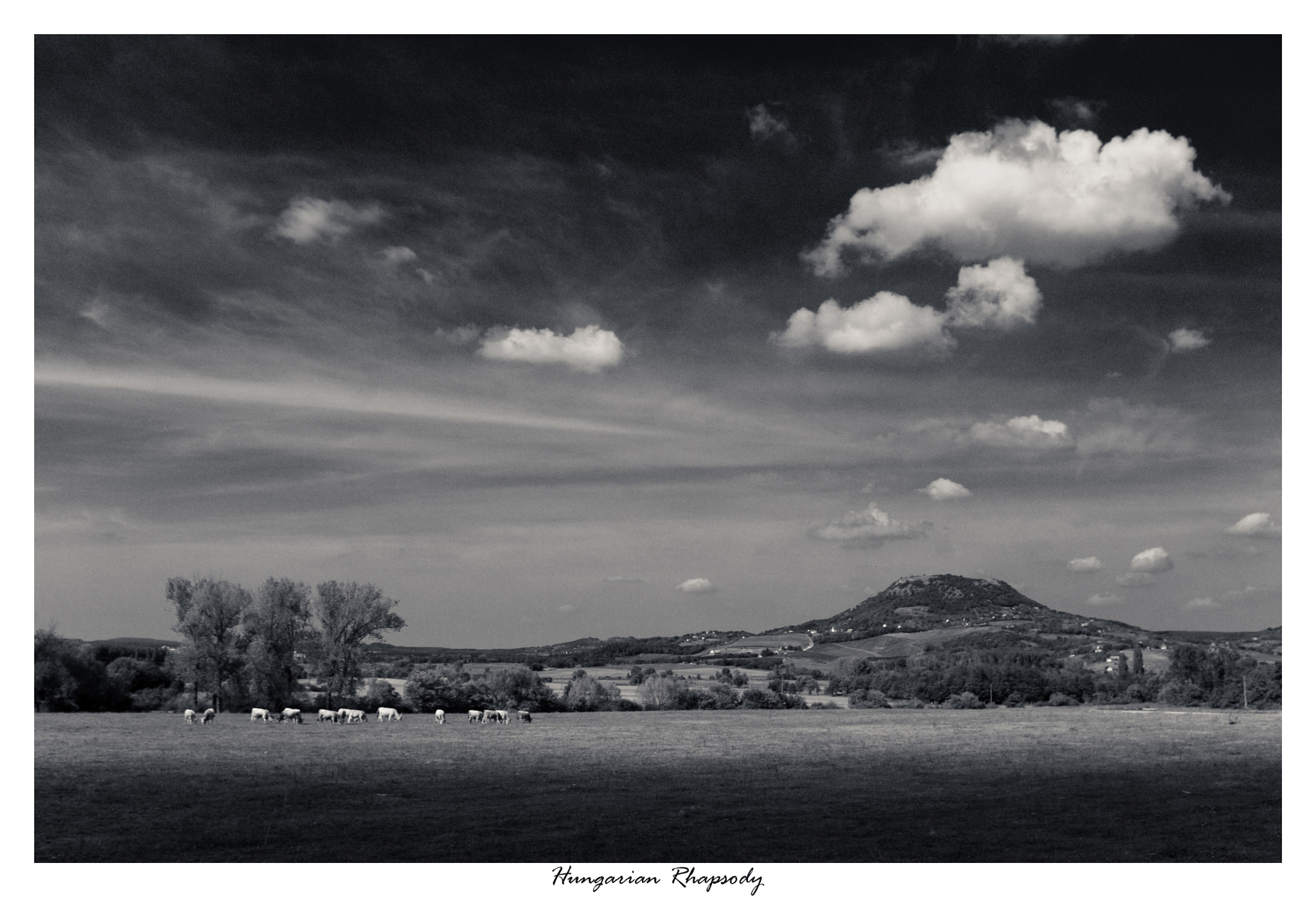 Pentax K-x sample photo. Hungarian rhapsody photography
