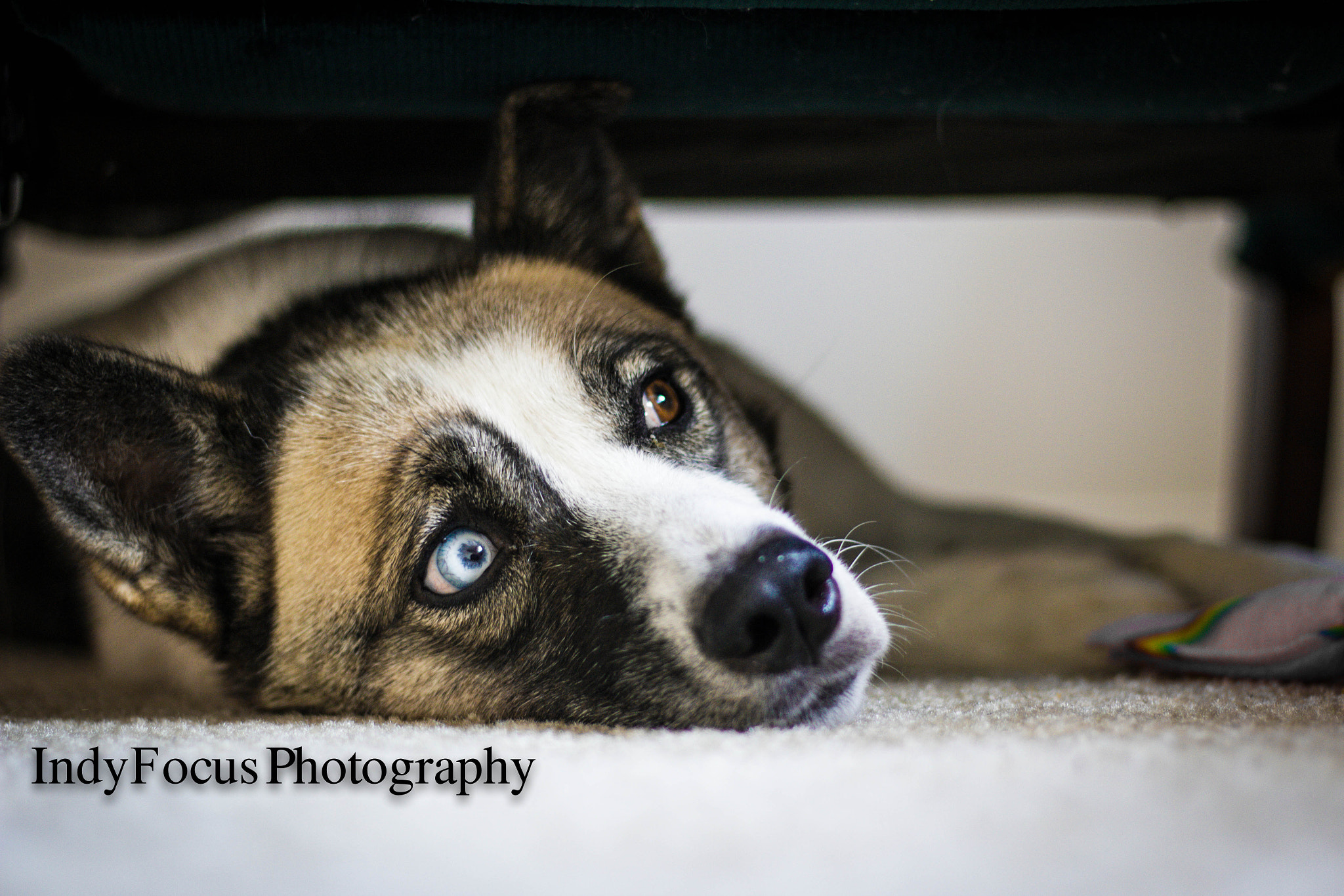 Canon EOS 550D (EOS Rebel T2i / EOS Kiss X4) sample photo. Finally home photography
