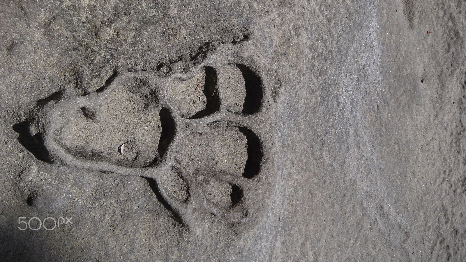 FujiFilm FinePix T200 (FinePix T205) sample photo. Footprint photography