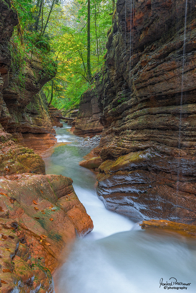 Sony a7R + Sony 70-400mm F4-5.6 G SSM sample photo. Red canyon photography