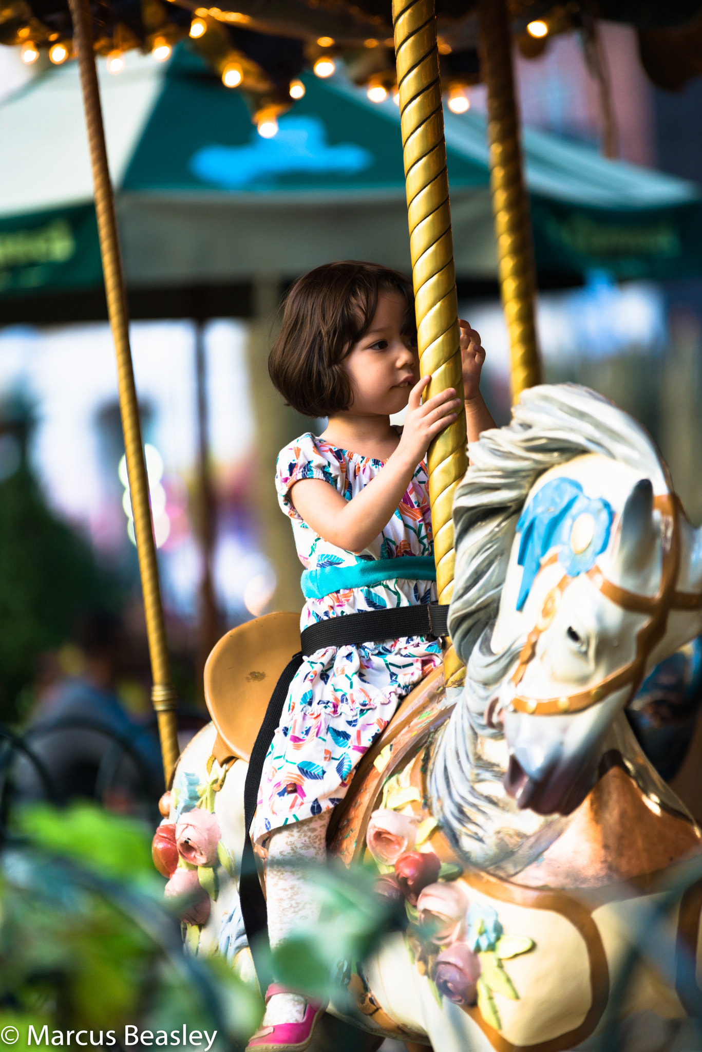 Sigma 70-200mm F2.8 EX DG OS HSM sample photo. 29885023630.jpg photography