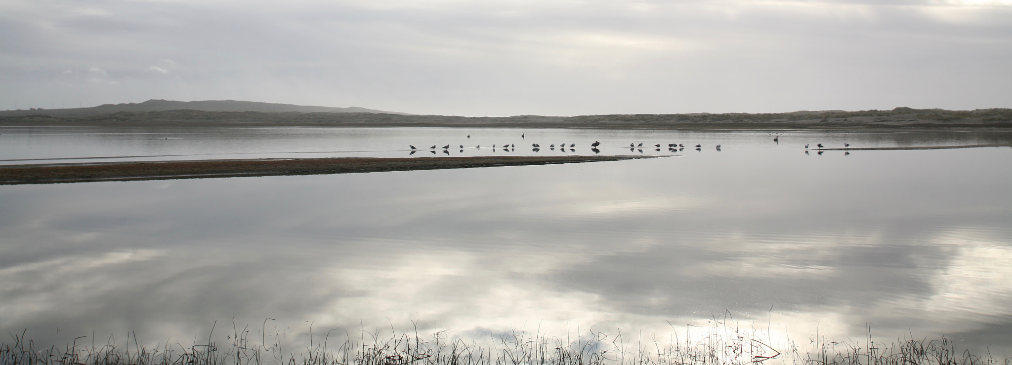 Canon EOS 5D + Canon EF 17-35mm f/2.8L sample photo. The lagoon in december photography