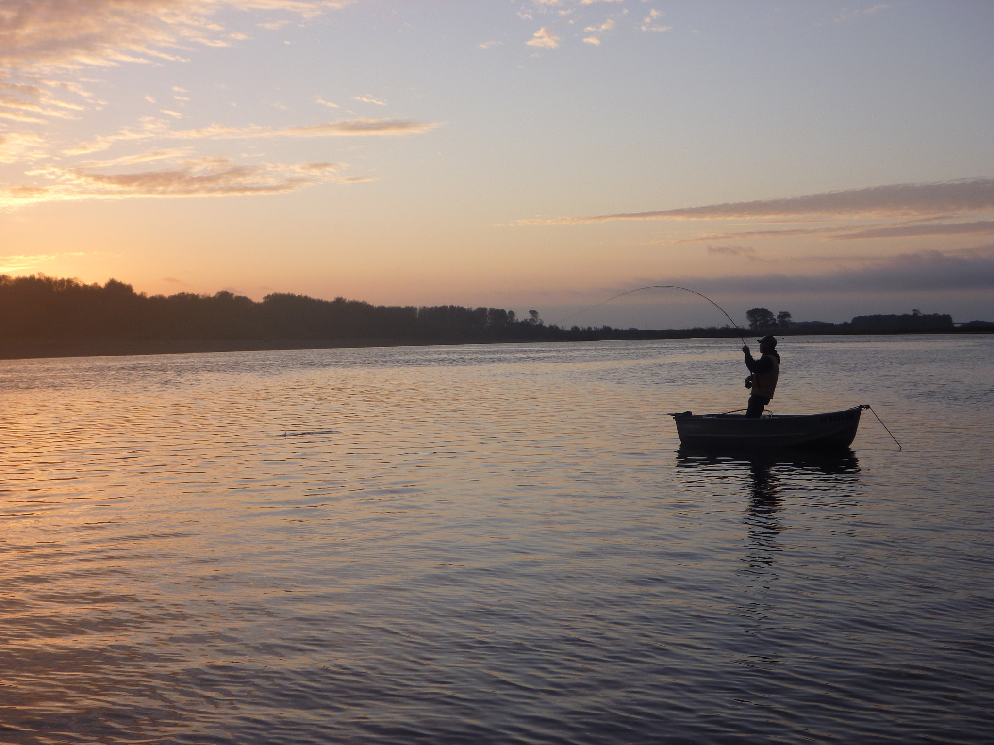 Panasonic DMC-TS2 sample photo. Fall salmon fishing photography