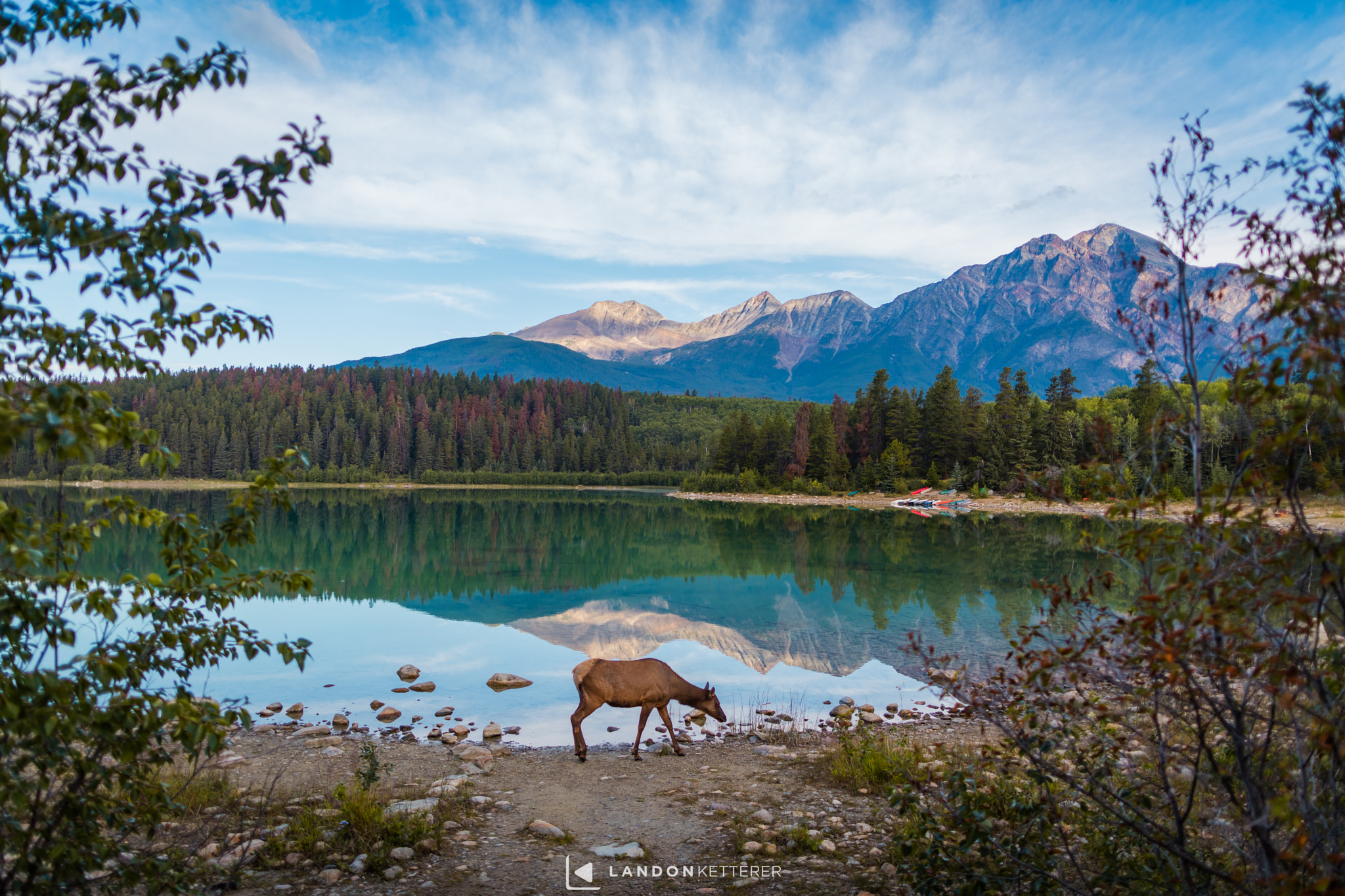 Canon EOS 5DS + Canon EF 24mm F1.4L II USM sample photo. Framed by nature photography