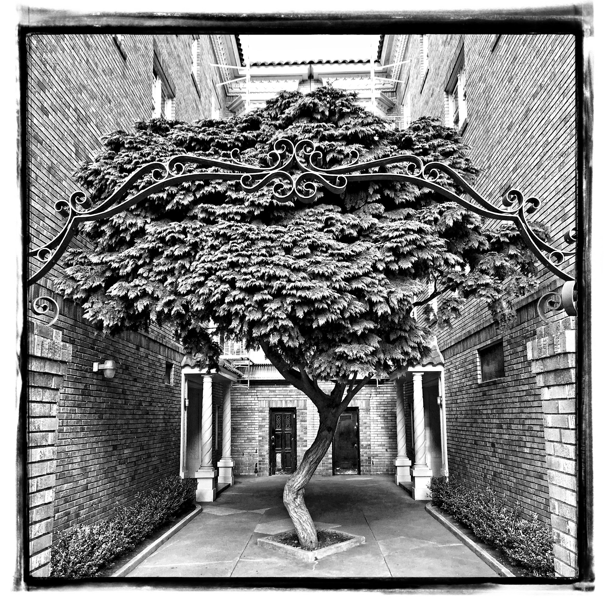 Hipstamatic 314 + iPhone SE back camera 4.15mm f/2.2 sample photo. Courtyard photography