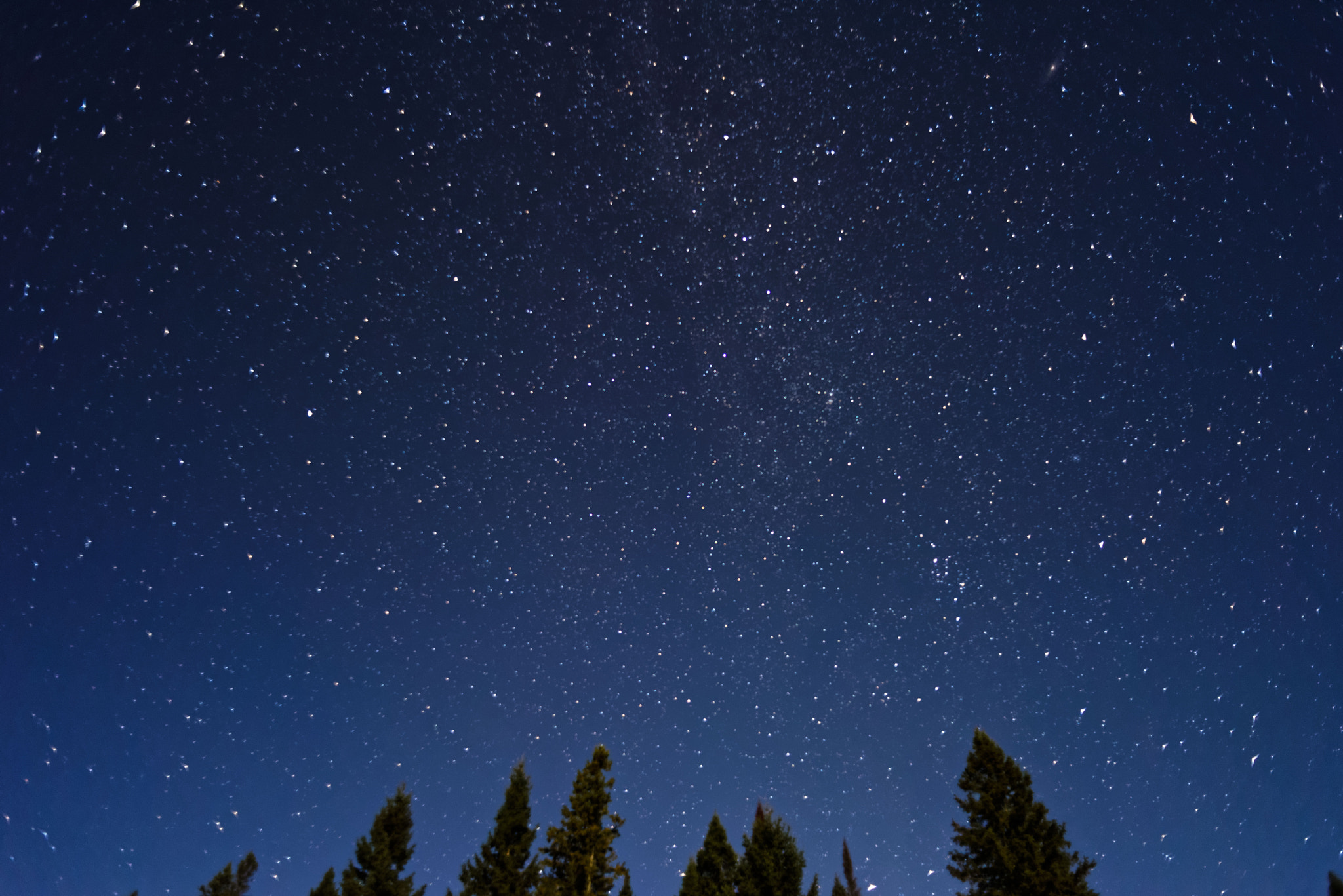 Nikon D810 + Nikon AF Nikkor 24mm F2.8D sample photo. Milky way photography