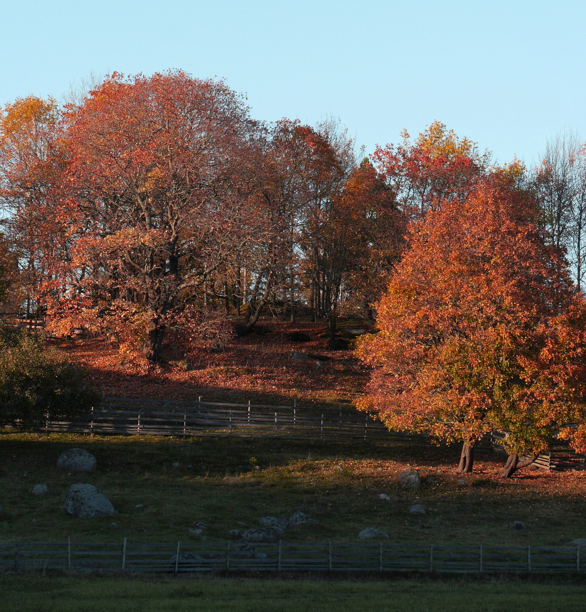 Panasonic Lumix DMC-GH3 sample photo. Kurala farm photography
