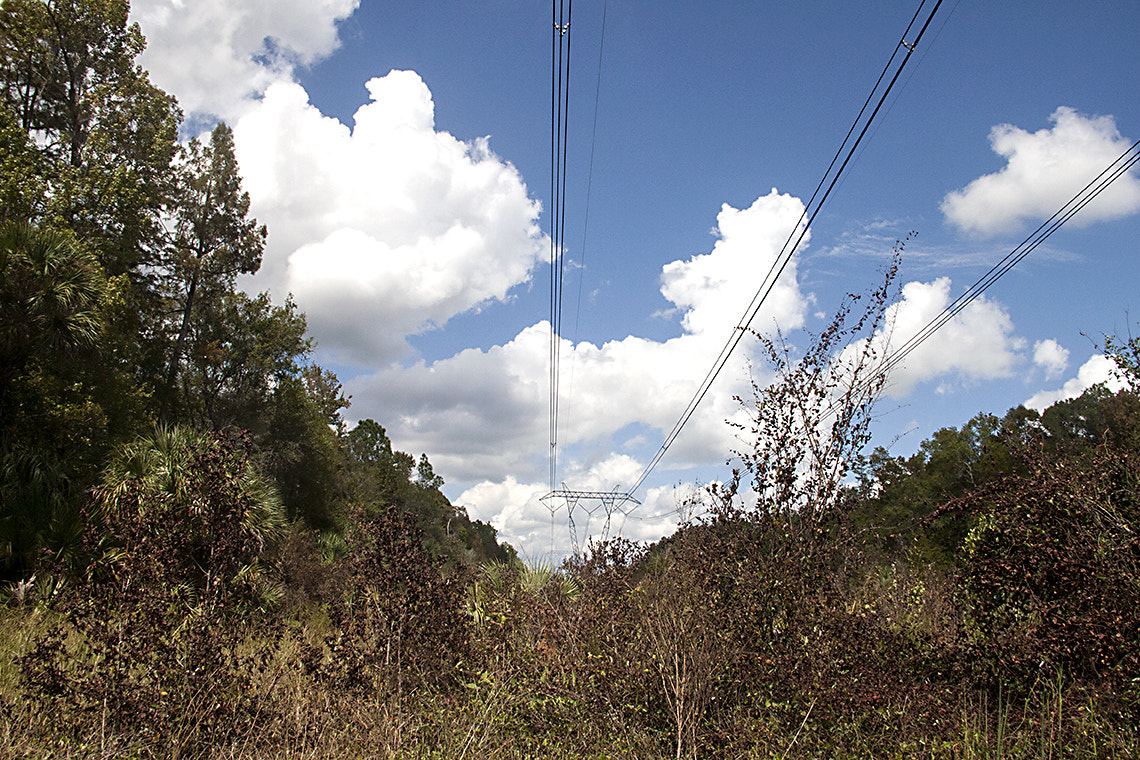 Canon EOS 500D (EOS Rebel T1i / EOS Kiss X3) sample photo. Nature vs technology photography