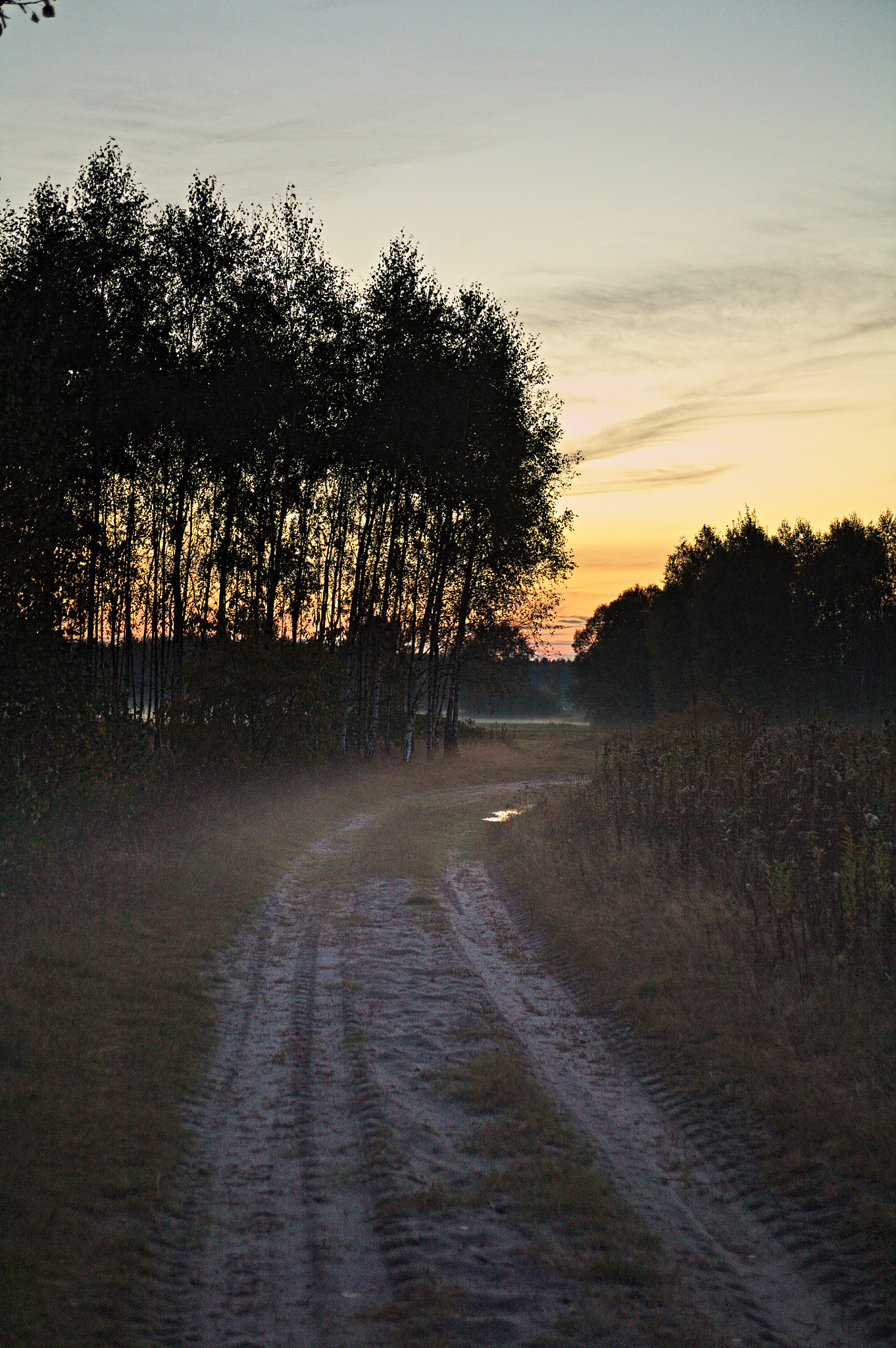 Canon EF 28-80mm f/3.5-5.6 sample photo. Misty road photography