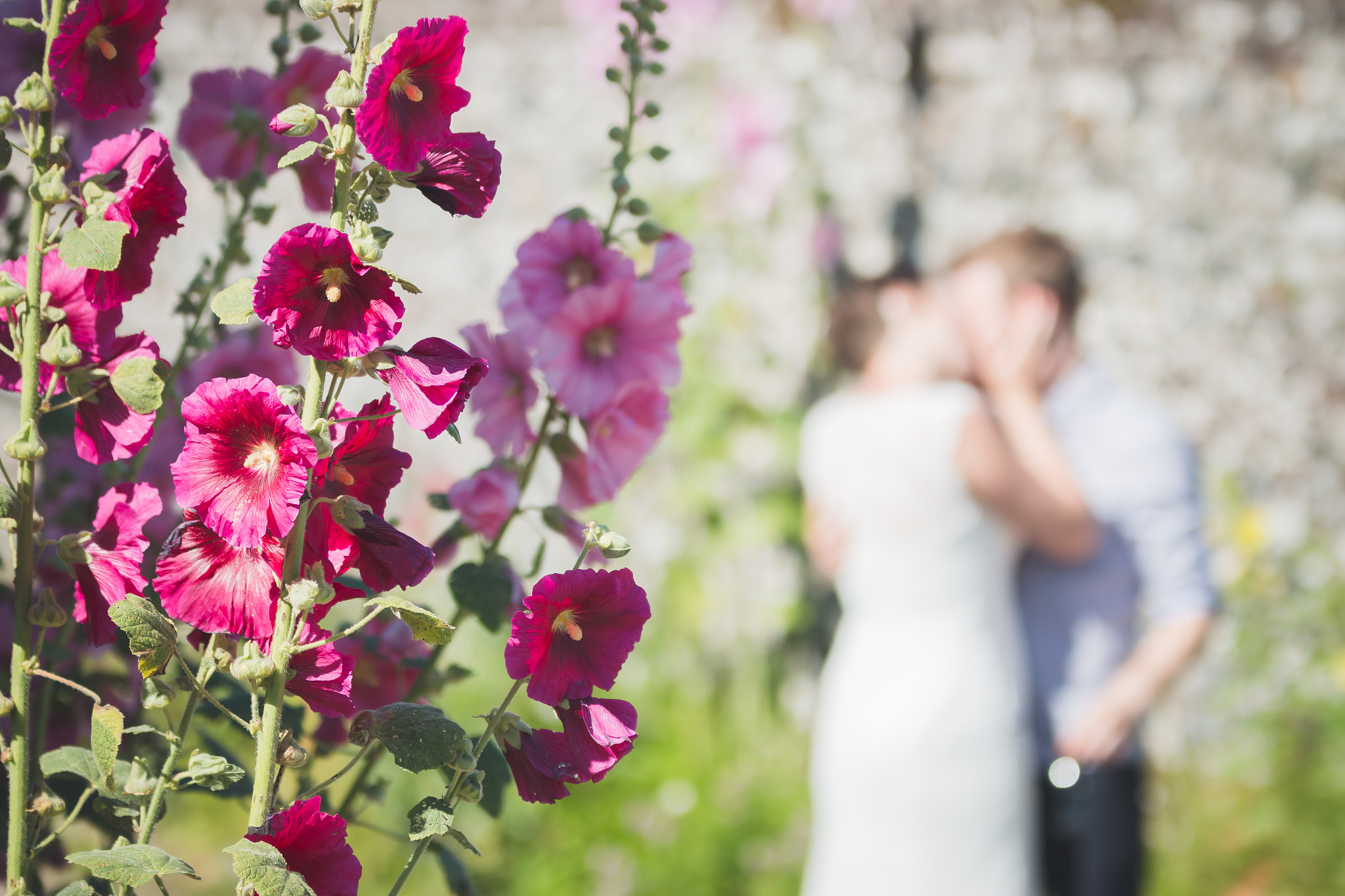 Sigma 70-200mm F2.8 EX DG OS HSM sample photo. Hidden lovers photography