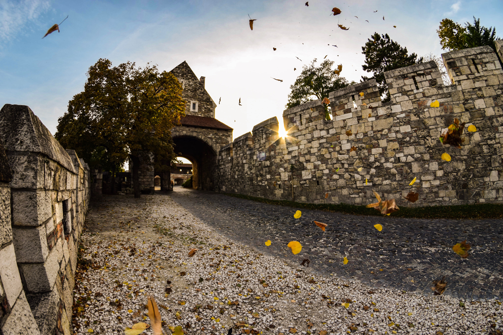 Nikon D5300 + Samyang 8mm F3.5 Aspherical IF MC Fisheye sample photo. Autumn is here photography