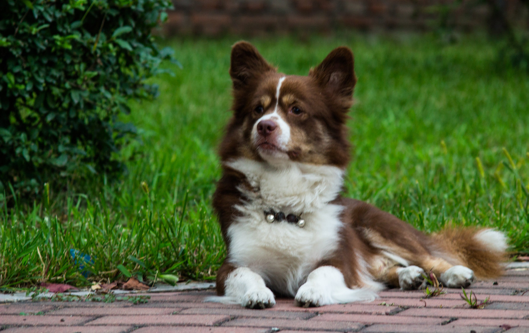 Canon EF 28-70mm f/3.5-4.5 sample photo. 机警 photography