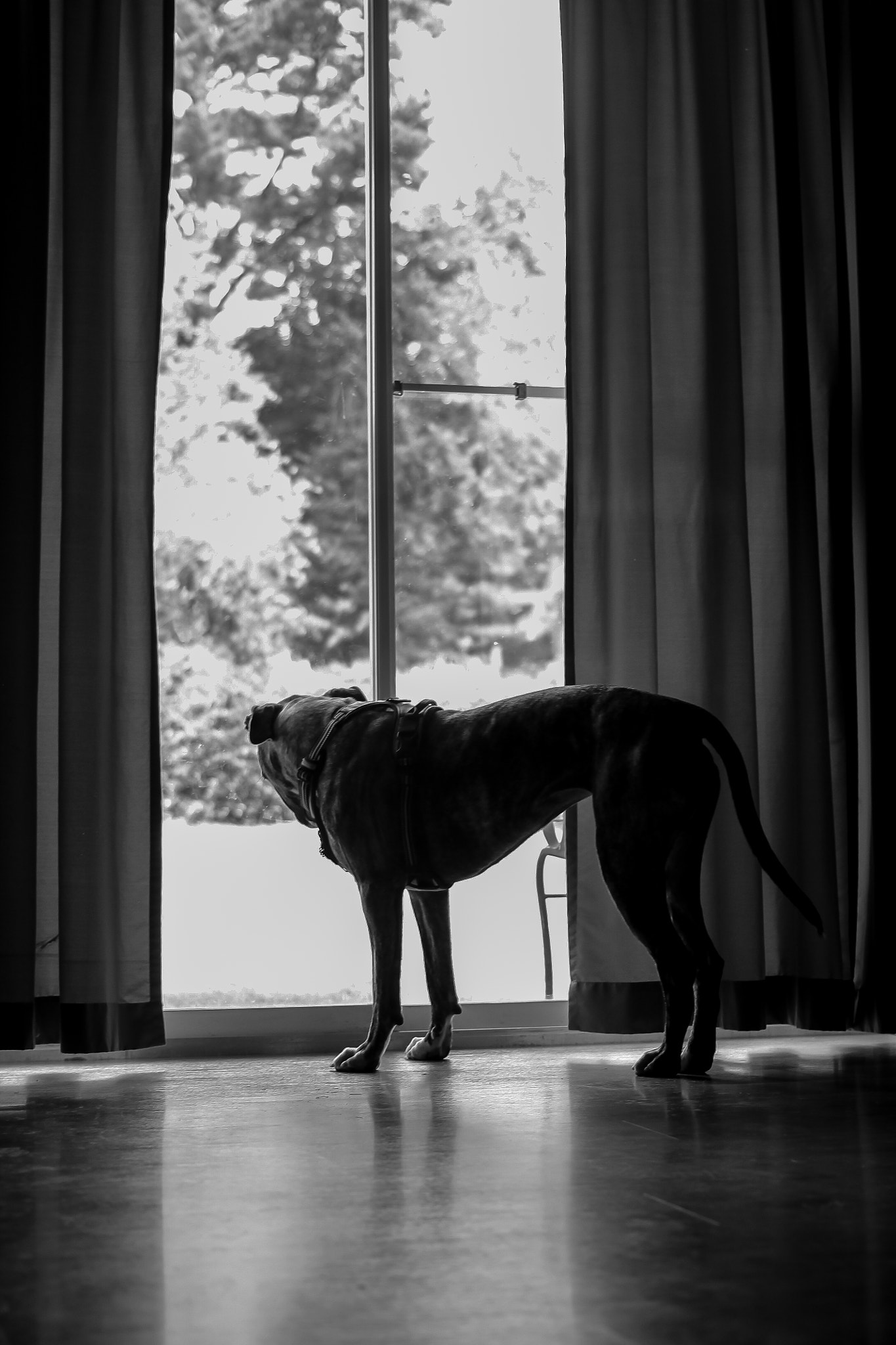 Canon EF 40mm F2.8 STM sample photo. Last day photography
