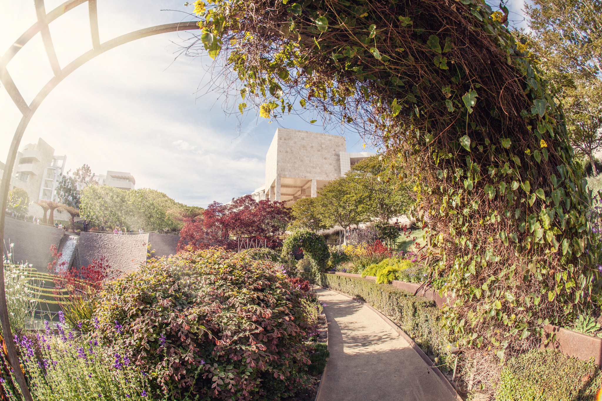 Canon EF 15mm F2.8 Fisheye sample photo. Getty center gardens photography