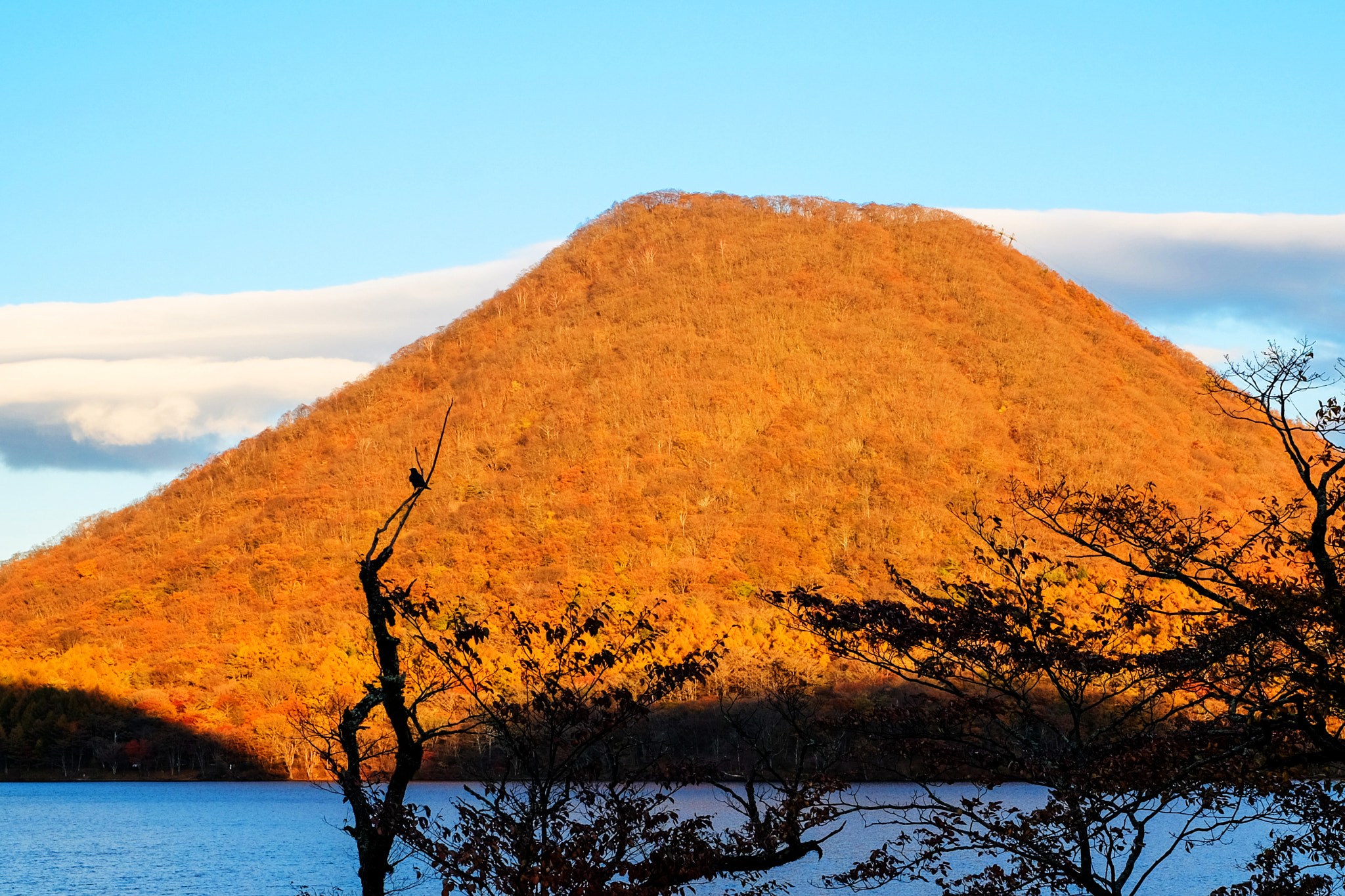 Fujifilm X-M1 + Fujifilm XF 35mm F1.4 R sample photo. The autumnal tints of mt.haruna-san photography