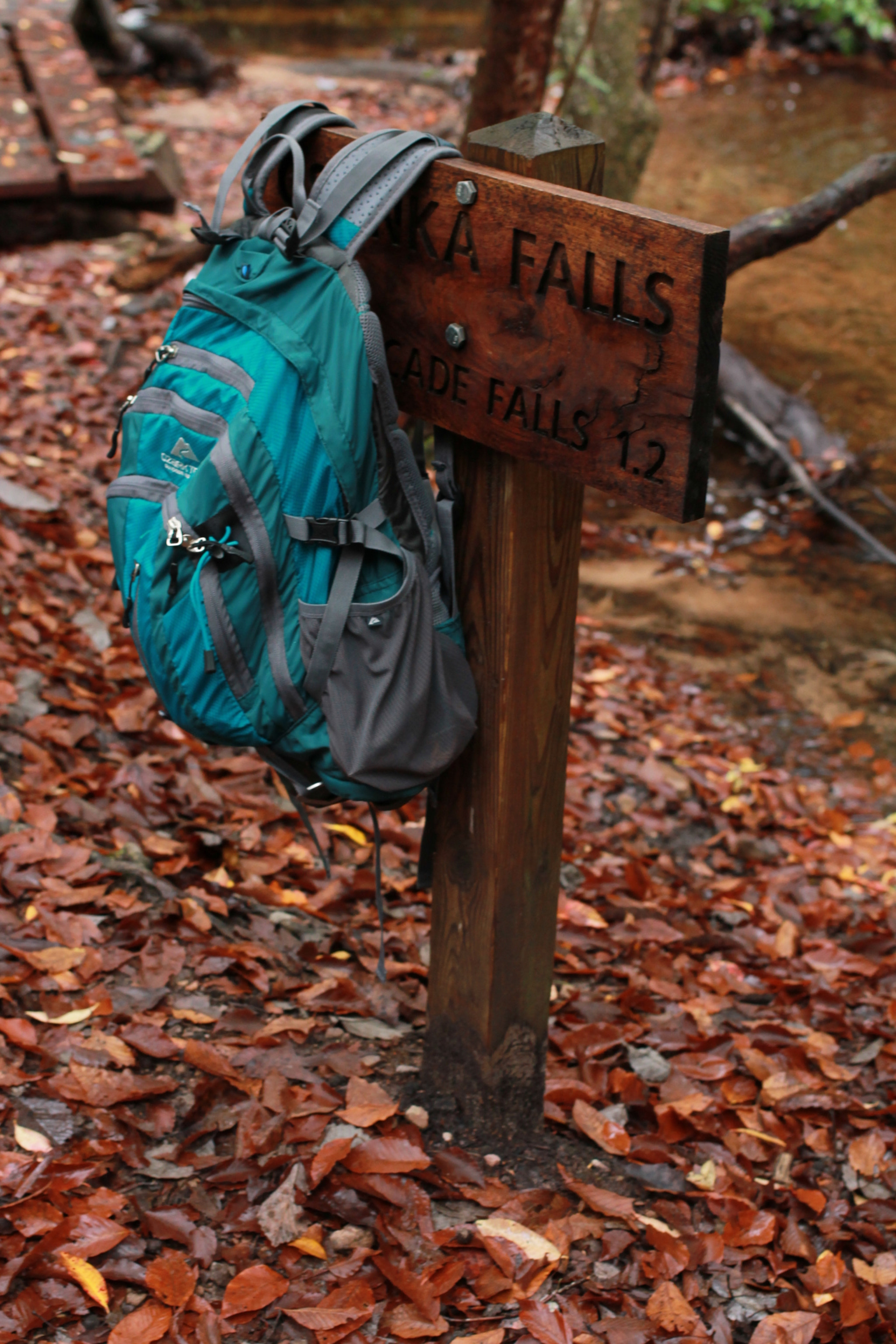 Canon EF 40mm F2.8 STM sample photo. Backpacking photography