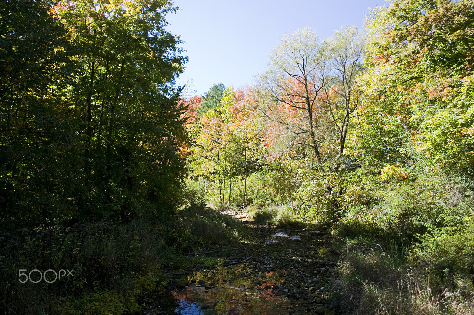 Canon EOS 30D sample photo. Downstream photography