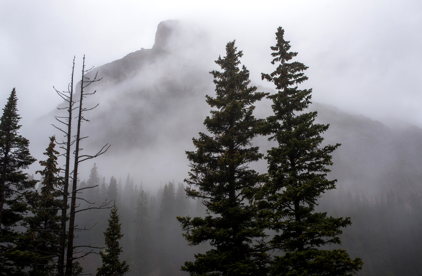 Nikon D800 + Nikon AF Nikkor 35mm F2D sample photo. Glacier national park photography