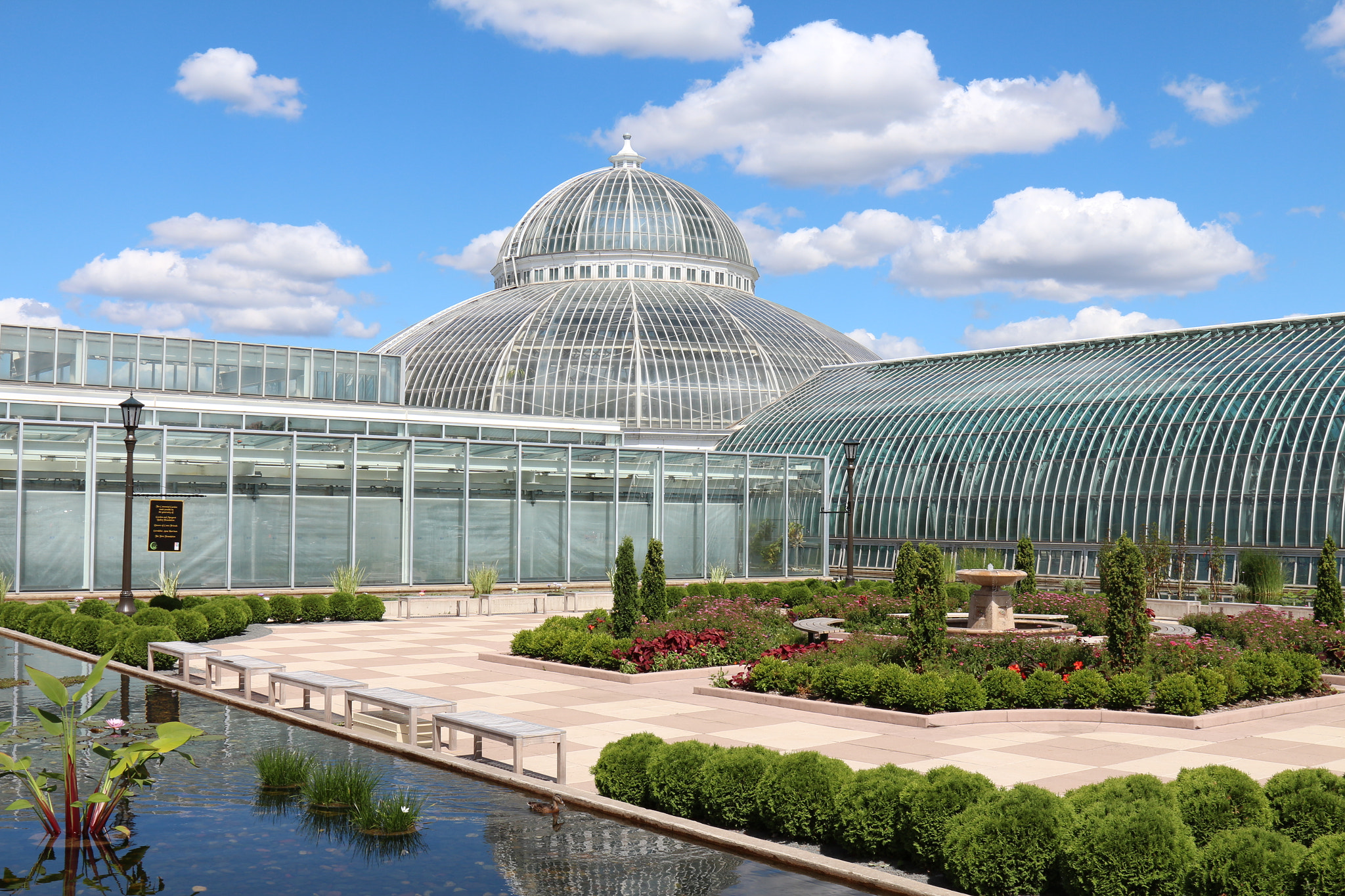 Canon EOS 650D (EOS Rebel T4i / EOS Kiss X6i) sample photo. Como park conservatory photography