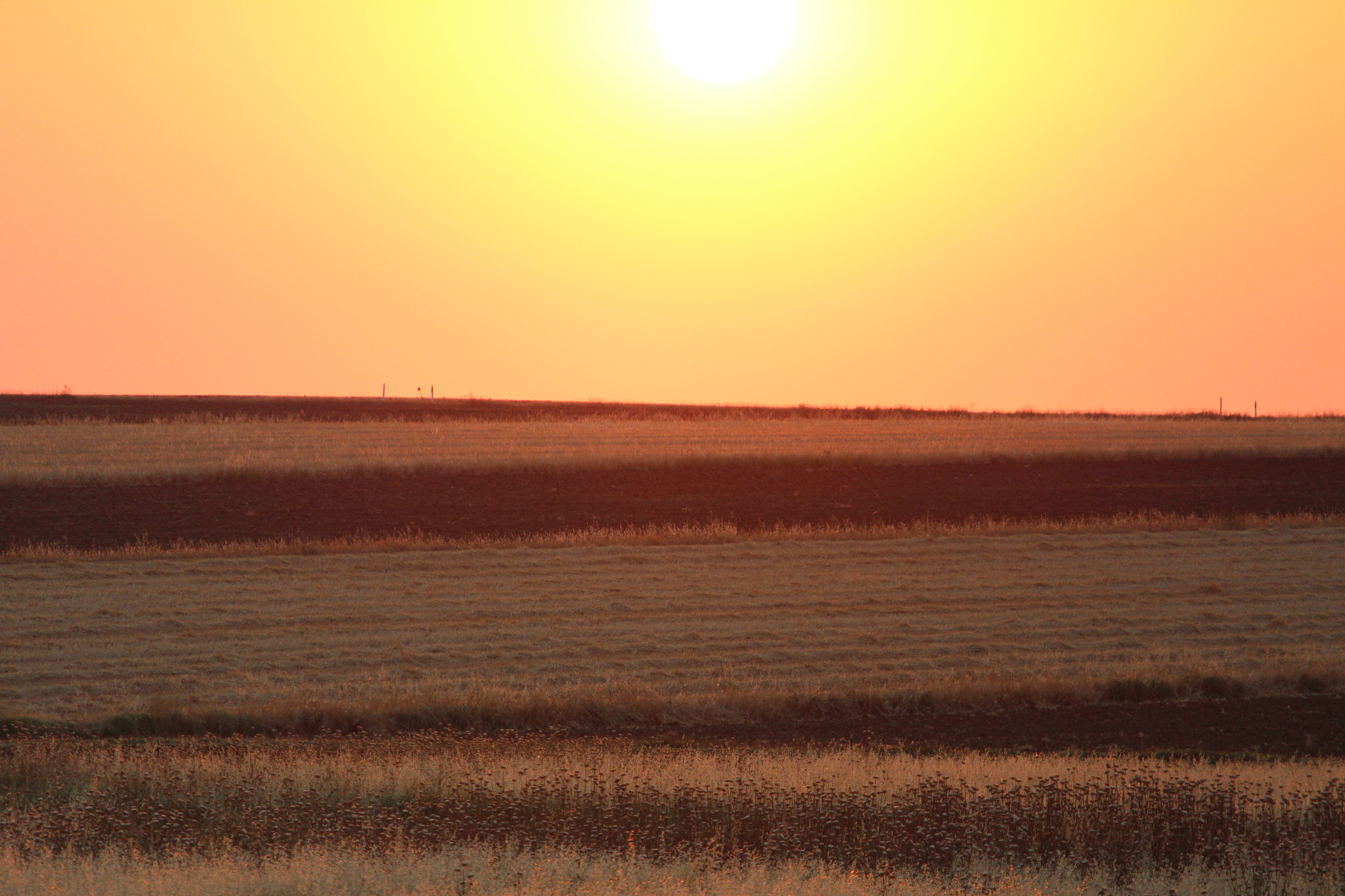 Canon EOS M sample photo. Img photography